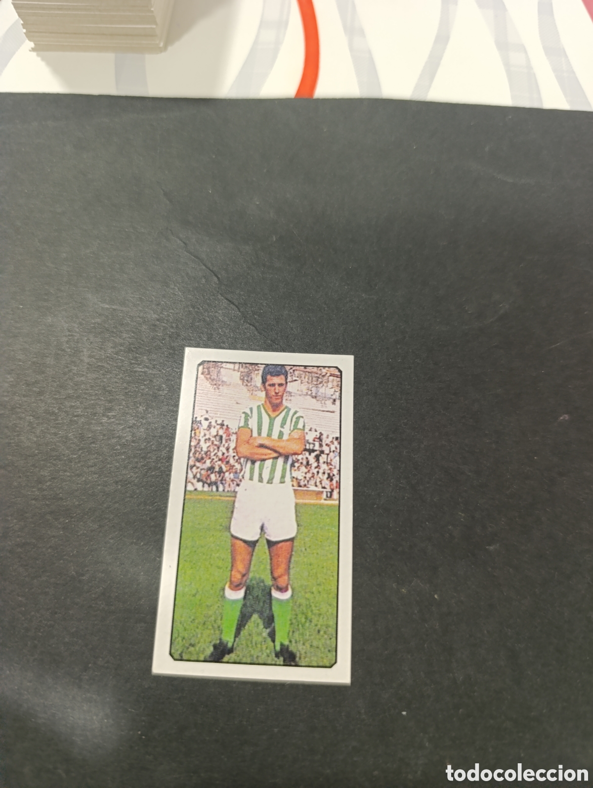 Cromos de f&uacute;tbol: Cromo Arana Real Betis Liga Este 77 78, ampliaci&oacute;n de la colecci&oacute;n.