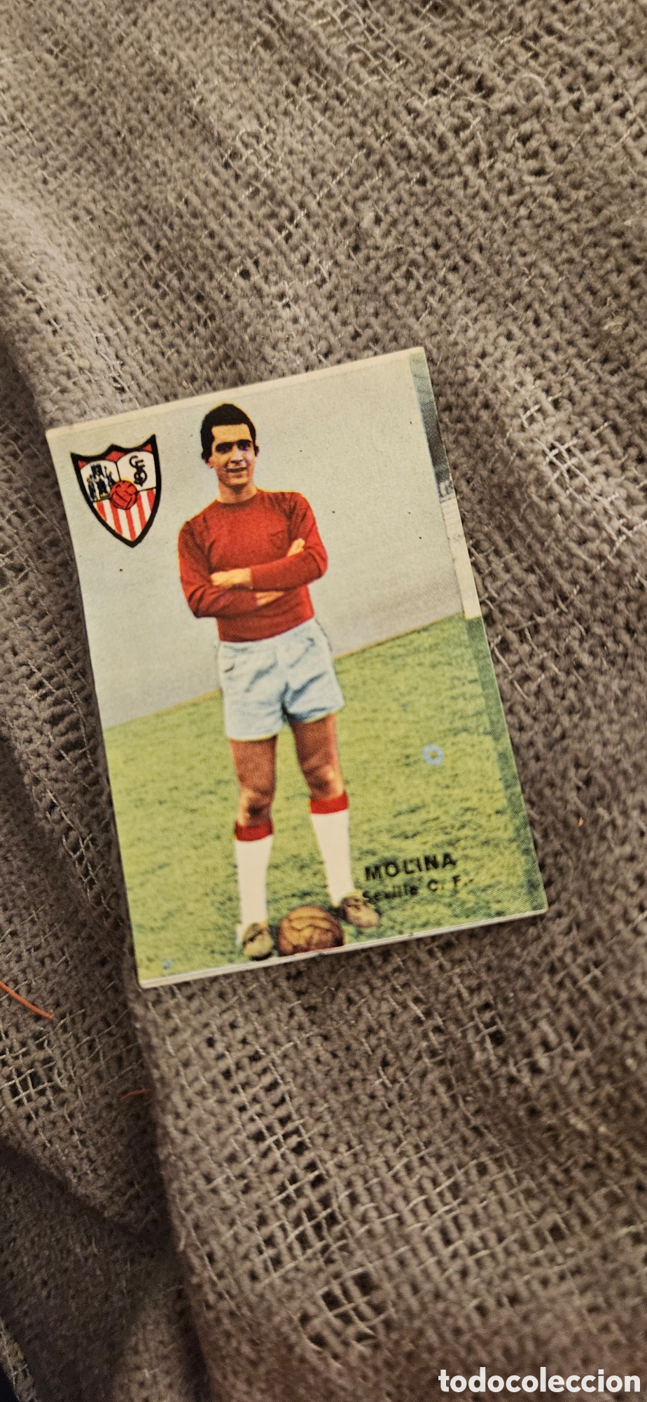 Cromos de f&uacute;tbol: Molina Sevilla disgra fher 1967 1968 67 68 campeonato liga despegado