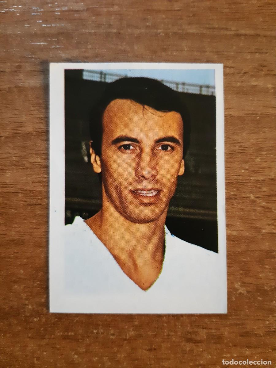 Cromos de f&uacute;tbol: N&deg;139 ROBERTO MART&Iacute;NEZ ESPA&Ntilde;OL LIGA F&Uacute;TBOL 80-81 ED. FHER. DESPEGADO