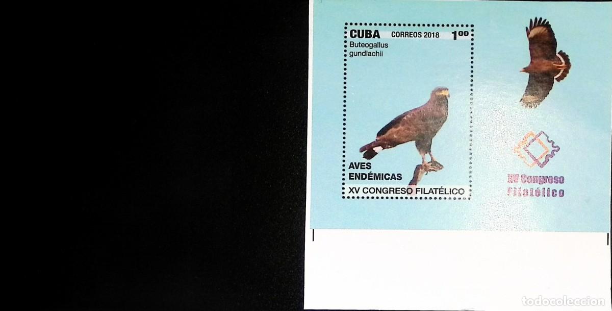 Cromos de f&uacute;tbol: TS) 2018 CUBA,DIE PROOF, SOUVENIR SHEET,PERFORATE,ENDEMIC BIRDS,MNH.