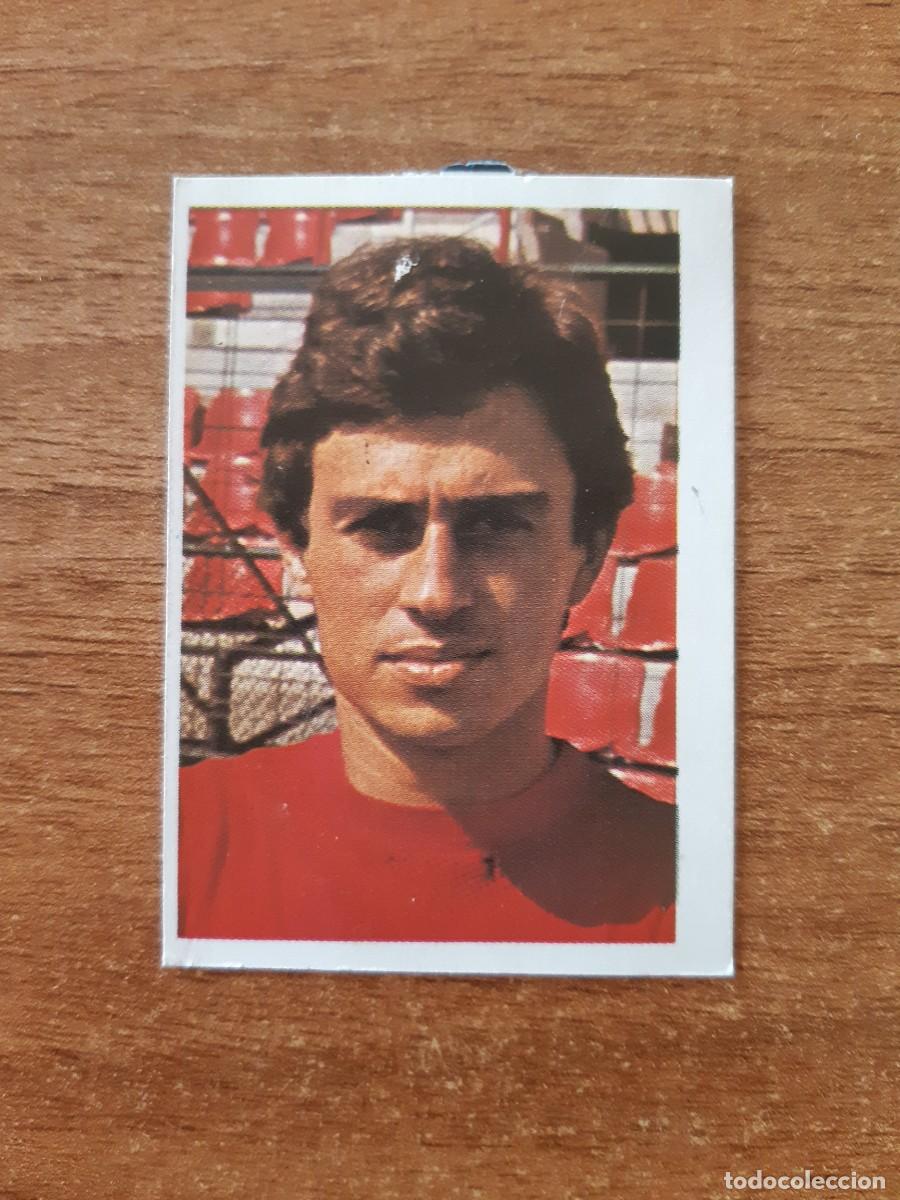 Cromos de f&uacute;tbol: N&deg;98 PICAZO MURCIA LIGA F&Uacute;TBOL 80-81 ED. FHER. DESPEGADO
