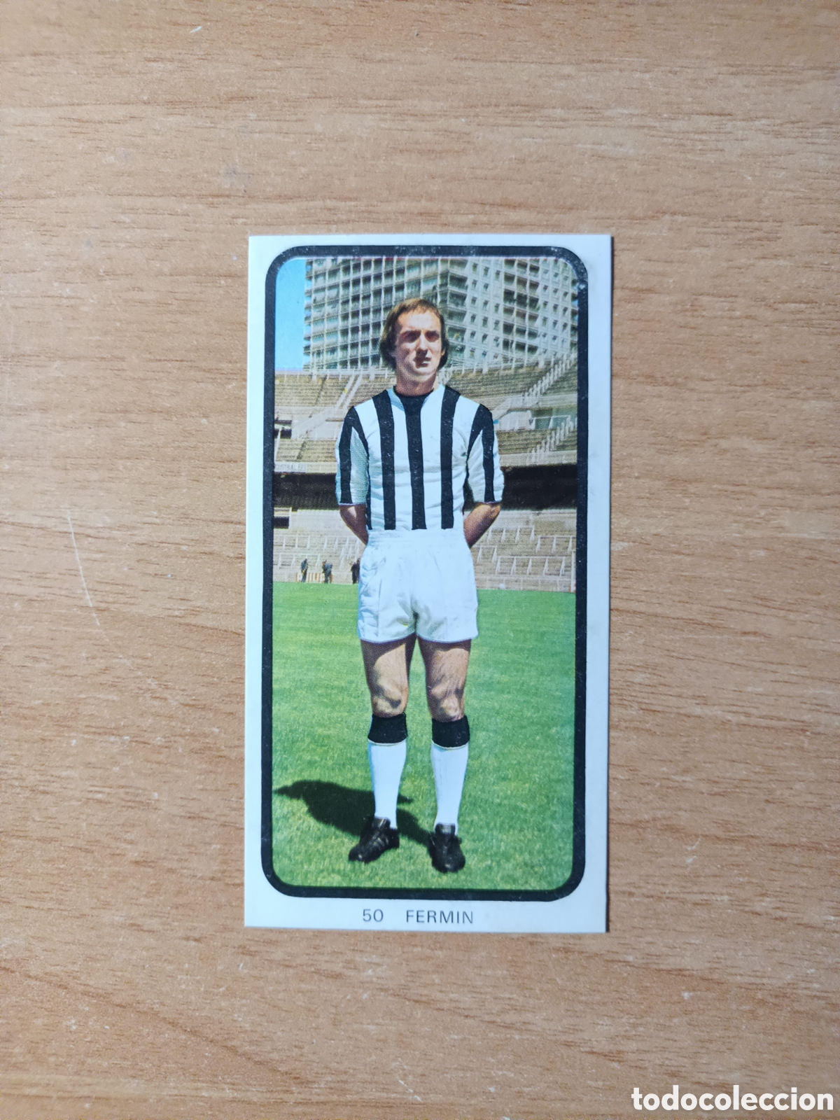 Cromos de f&uacute;tbol: FERMIN Castellon R.Romero 73.74