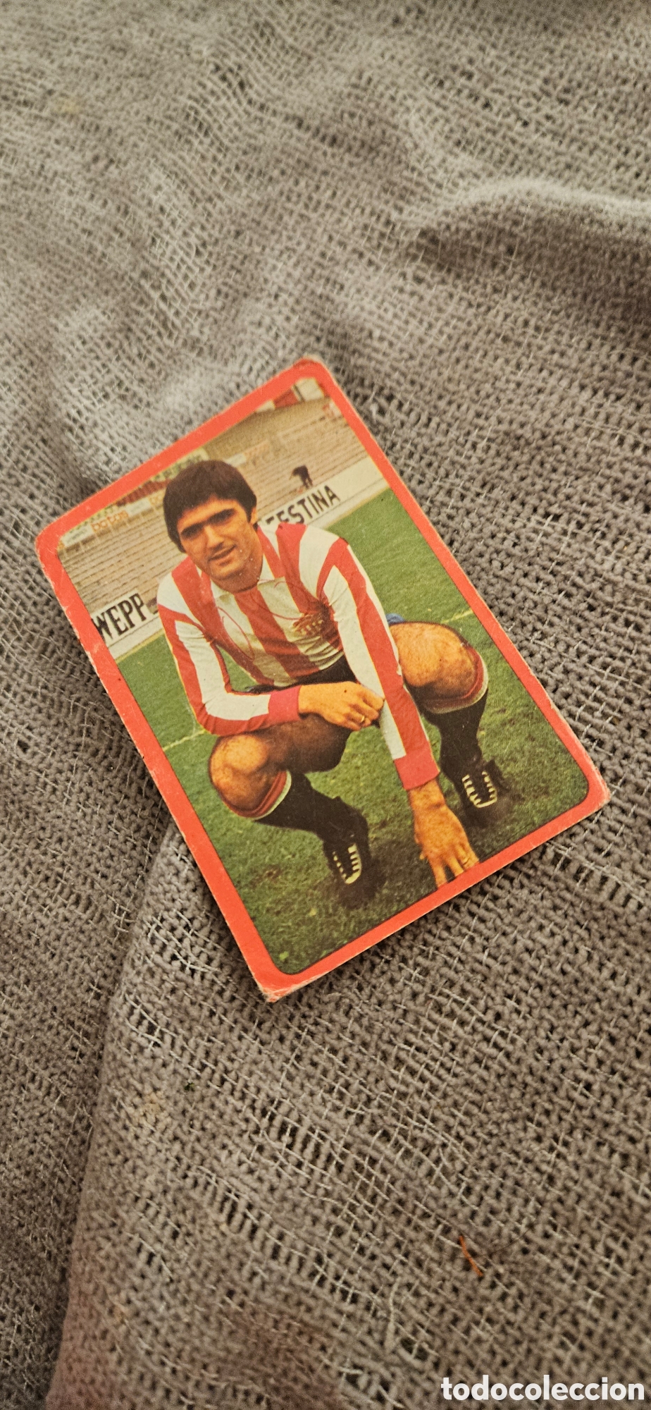 Cromos de f&uacute;tbol: 252 herrera sporting de gijon Ruiz romero 1977 1978 77 78 sin pegar campeonato liga