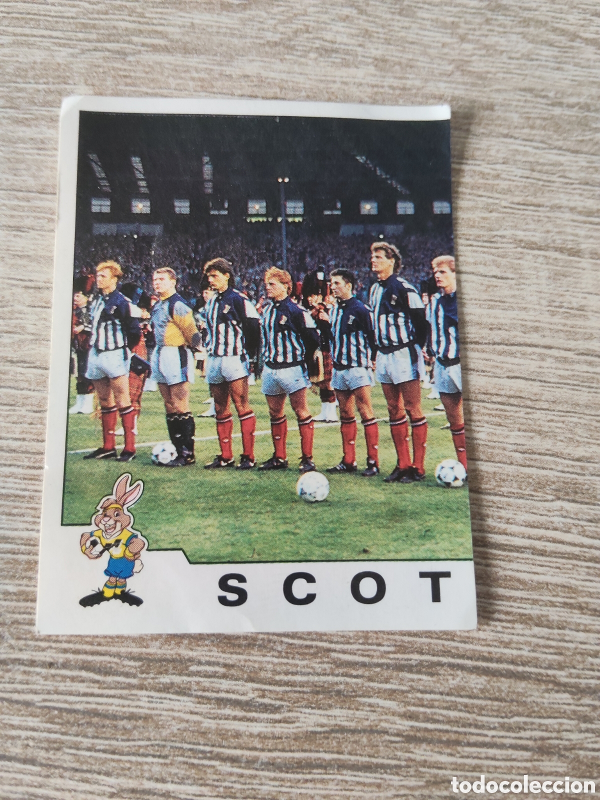 Cromos de f&uacute;tbol: Panini euro 92 139 alineaci&oacute;n Escocia