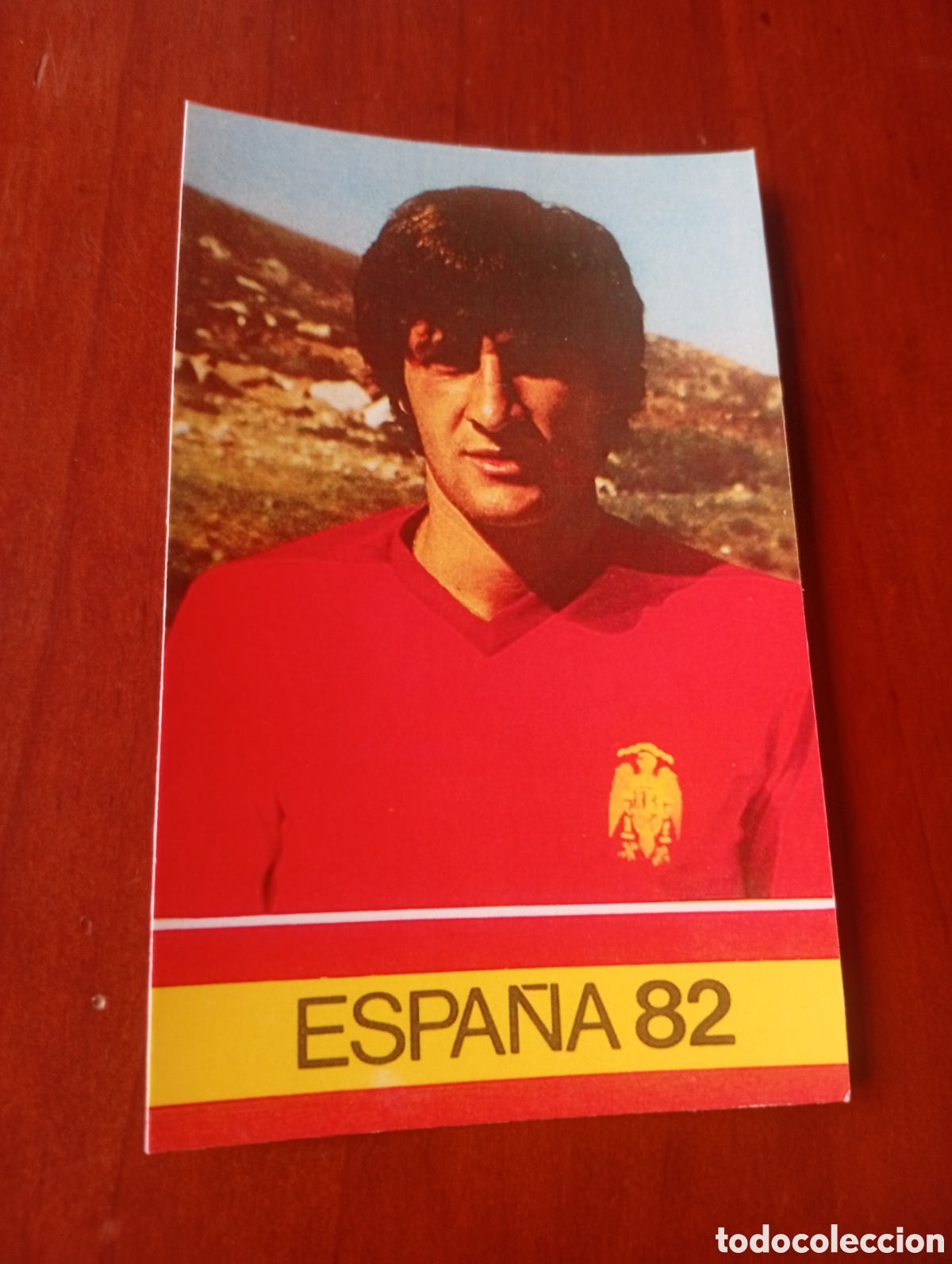 Cartes &agrave; collectionner de Football: ALBUM PORTA FICHAS DE LA SELECCION NACIONAL ESPA&Ntilde;OLA ESPA&Ntilde;A 82 FICHA CROMO TARJETA QUIQUE SETIEN