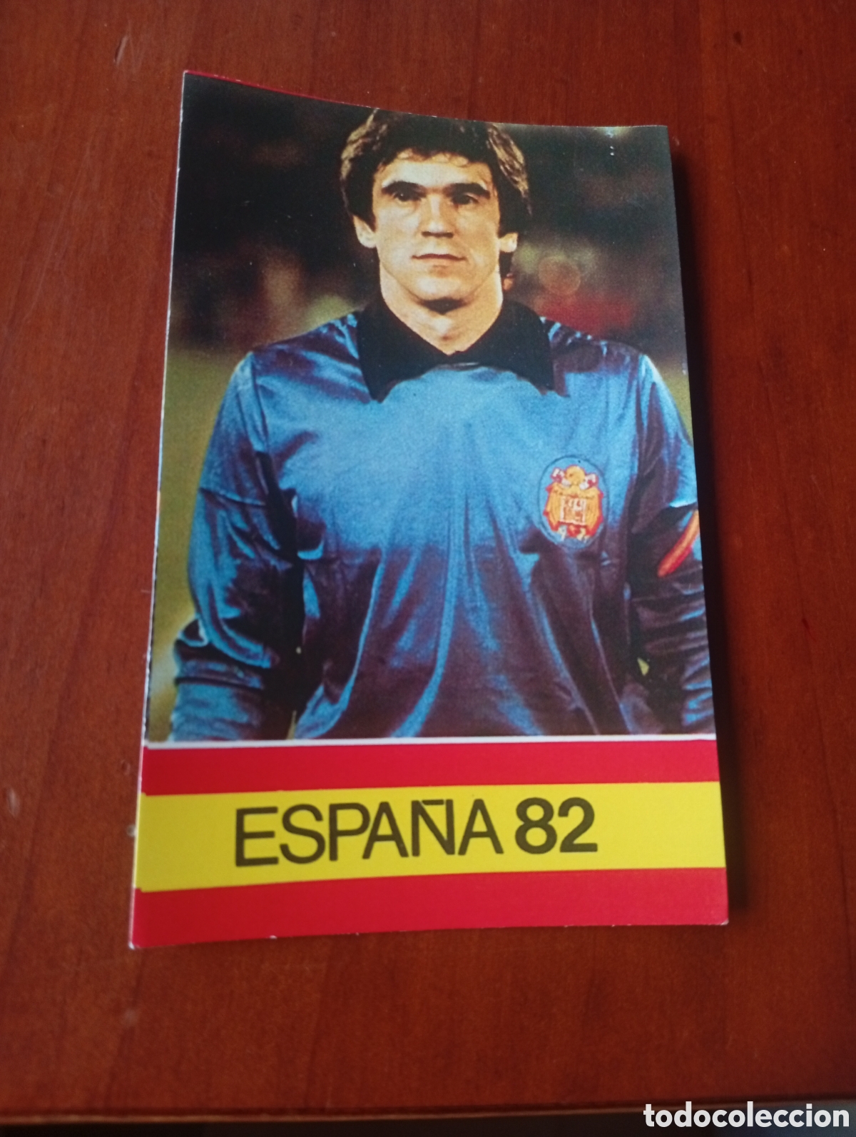 Cartes &agrave; collectionner de Football: ALBUM PORTA FICHAS DE LA SELECCION NACIONAL ESPA&Ntilde;OLA ESPA&Ntilde;A 82 FICHA CROMO TARJETA ARCONADA