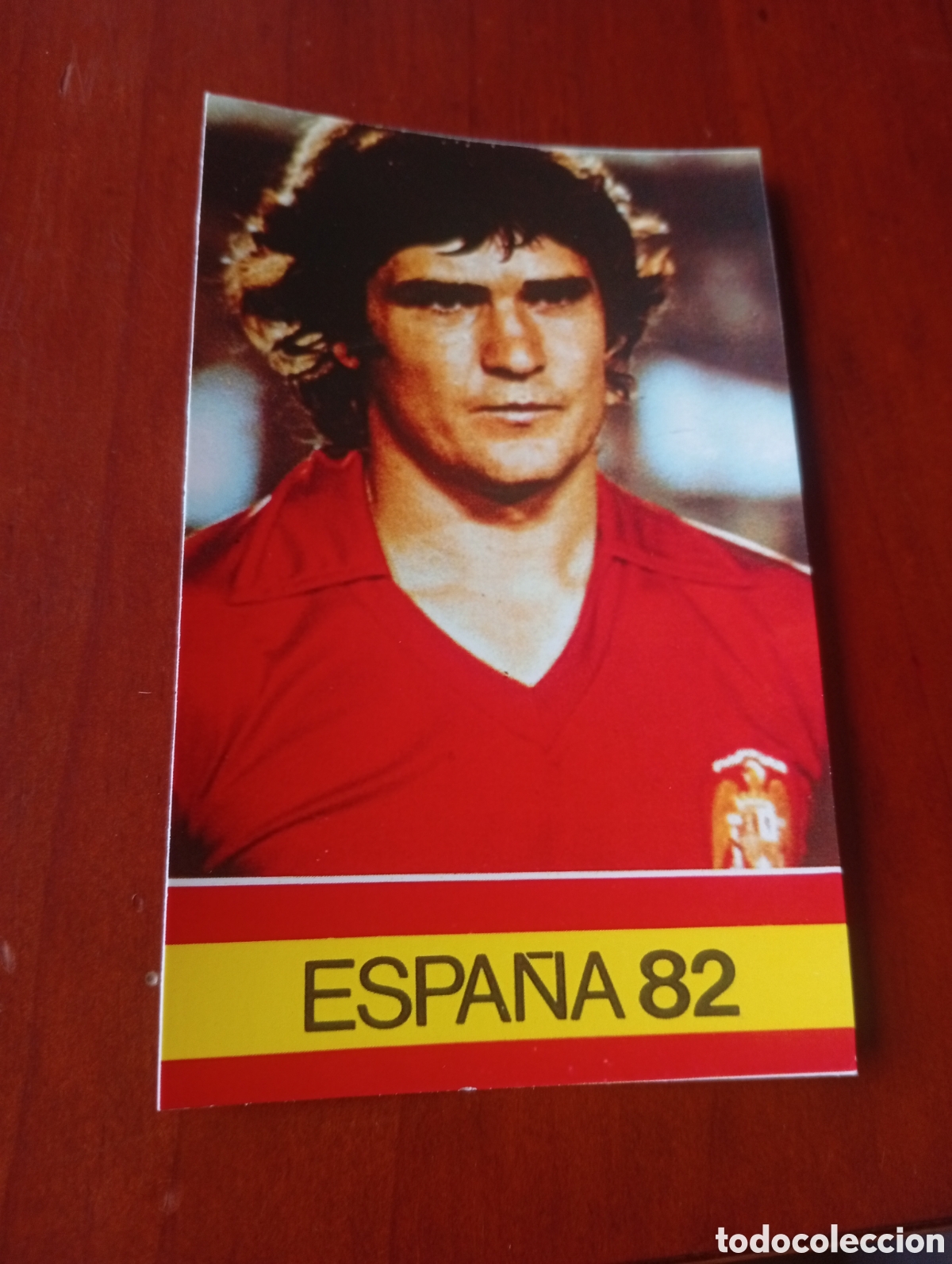 Cromos de f&uacute;tbol: ALBUM PORTA FICHAS DE LA SELECCION NACIONAL ESPA&Ntilde;OLA ESPA&Ntilde;A 82 FICHA CROMO TARJETA CAMACHO