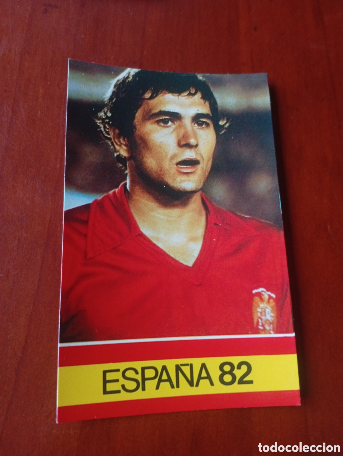 Cromos de f&uacute;tbol: ALBUM PORTA FICHAS DE LA SELECCION NACIONAL ESPA&Ntilde;OLA ESPA&Ntilde;A 82 FICHA CROMO TARJETA GORDILLO