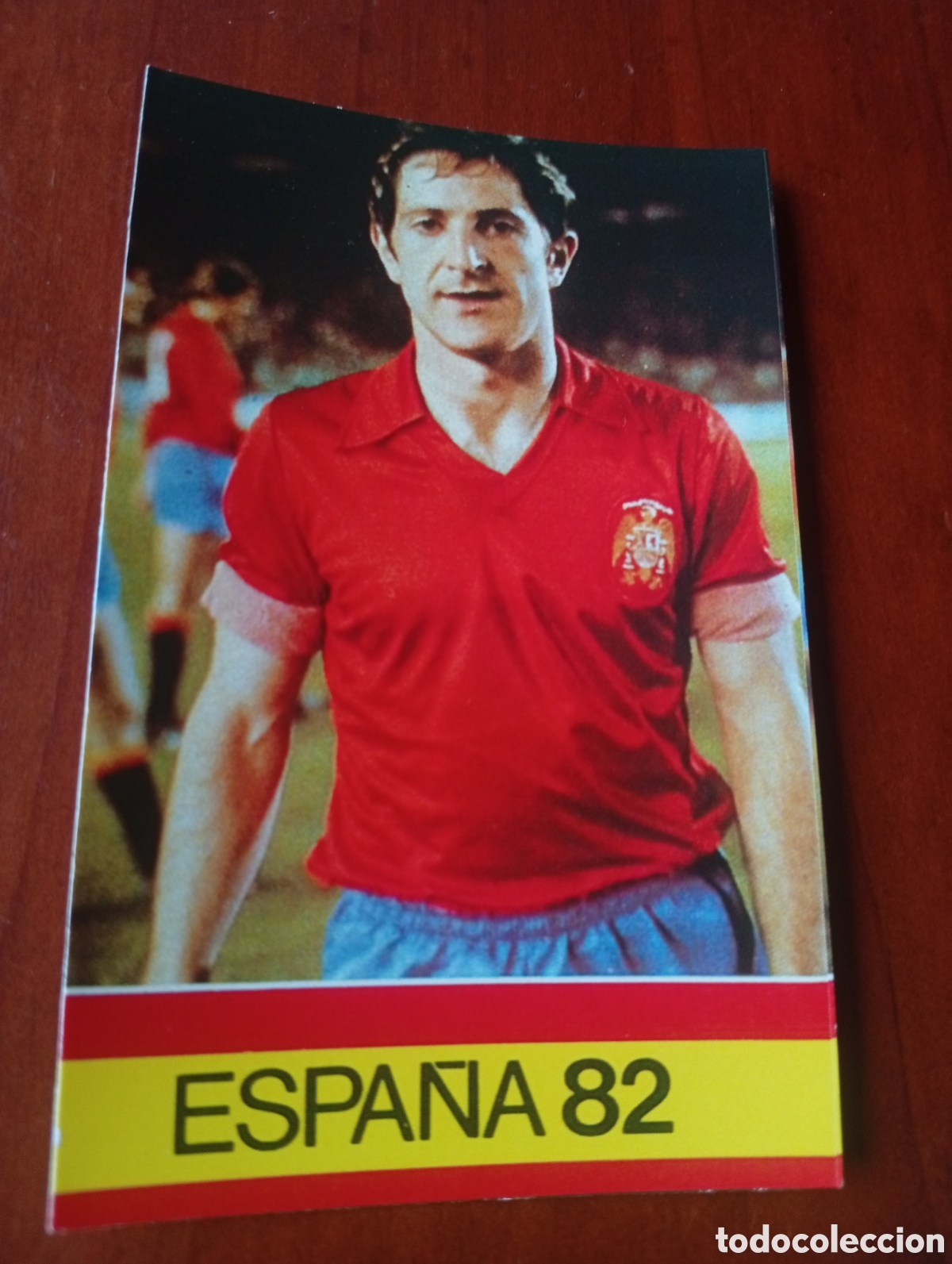 Cromos de f&uacute;tbol: ALBUM PORTA FICHAS DE LA SELECCION NACIONAL ESPA&Ntilde;OLA ESPA&Ntilde;A 82 FICHA CROMO TARJETA MIGUEL ALONSO