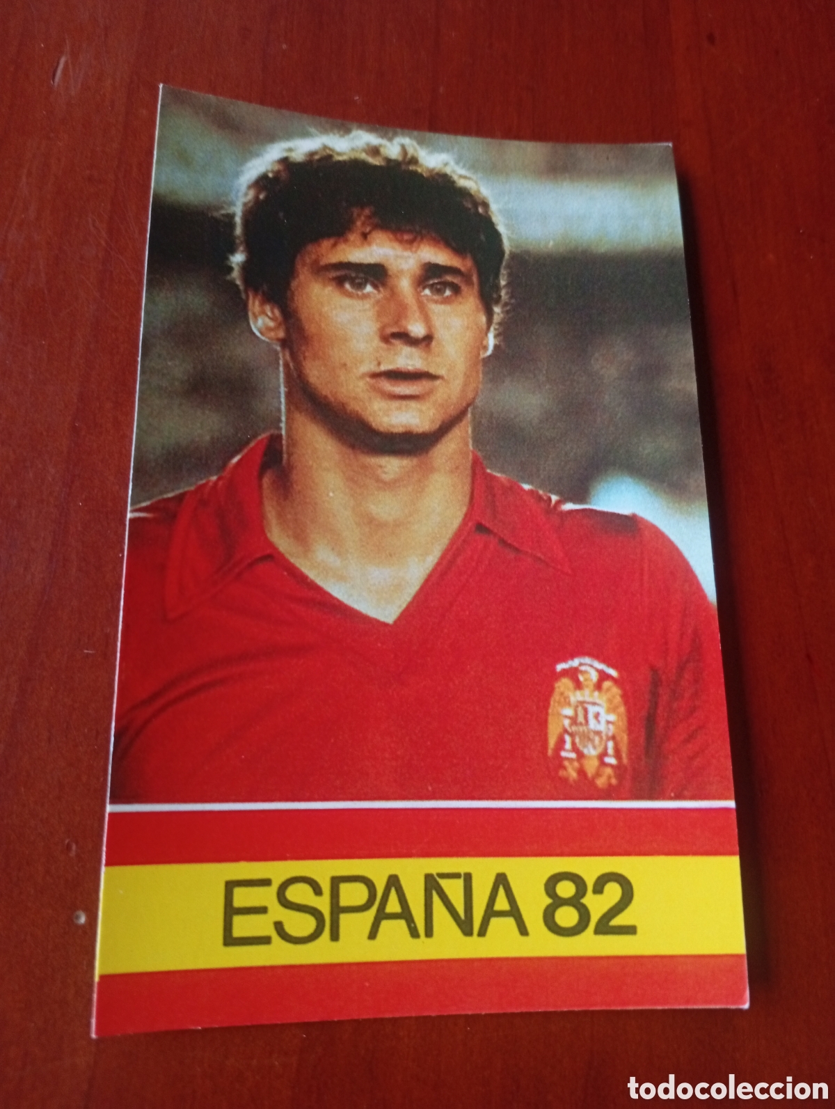 Cromos de f&uacute;tbol: ALBUM PORTA FICHAS DE LA SELECCION NACIONAL ESPA&Ntilde;OLA ESPA&Ntilde;A 82 FICHA CROMO TARJETA TENDILLO