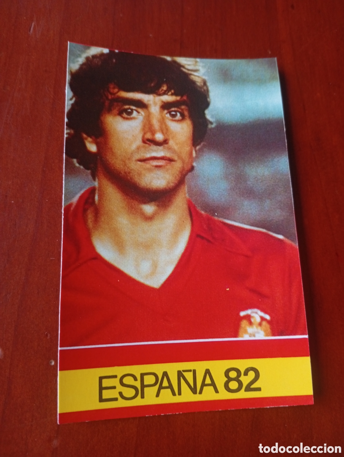 Cromos de f&uacute;tbol: ALBUM PORTA FICHAS DE LA SELECCION NACIONAL ESPA&Ntilde;OLA ESPA&Ntilde;A 82 FICHA CROMO TARJETA ALEXANCO