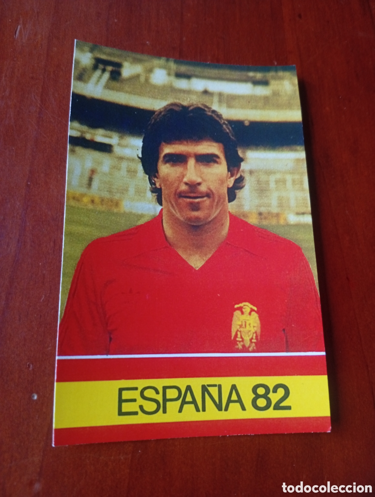 Cromos de f&uacute;tbol: ALBUM PORTA FICHAS DE LA SELECCION NACIONAL ESPA&Ntilde;OLA ESPA&Ntilde;A 82 FICHA CROMO TARJETA JUANITO