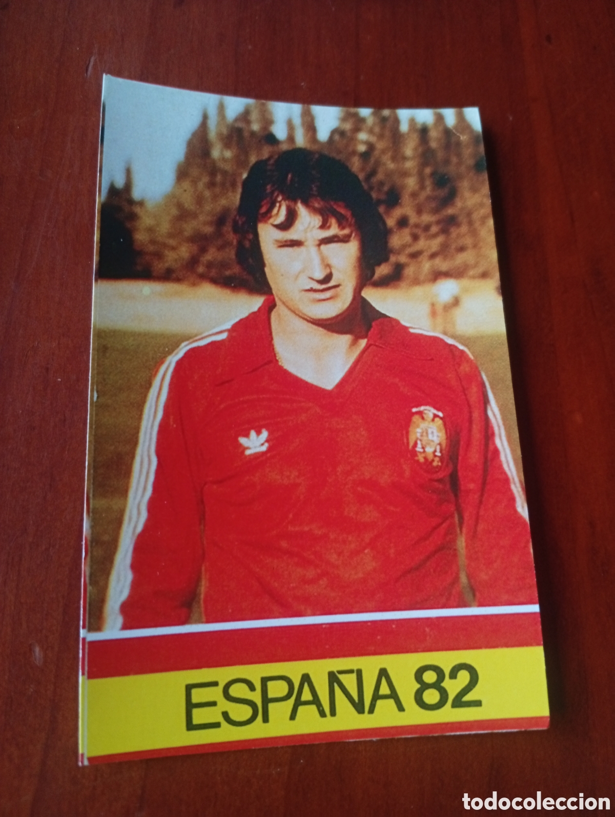 Cromos de f&uacute;tbol: ALBUM PORTA FICHAS DE LA SELECCION NACIONAL ESPA&Ntilde;OLA ESPA&Ntilde;A 82 FICHA CROMO TARJETA ENRIQUE SAURA