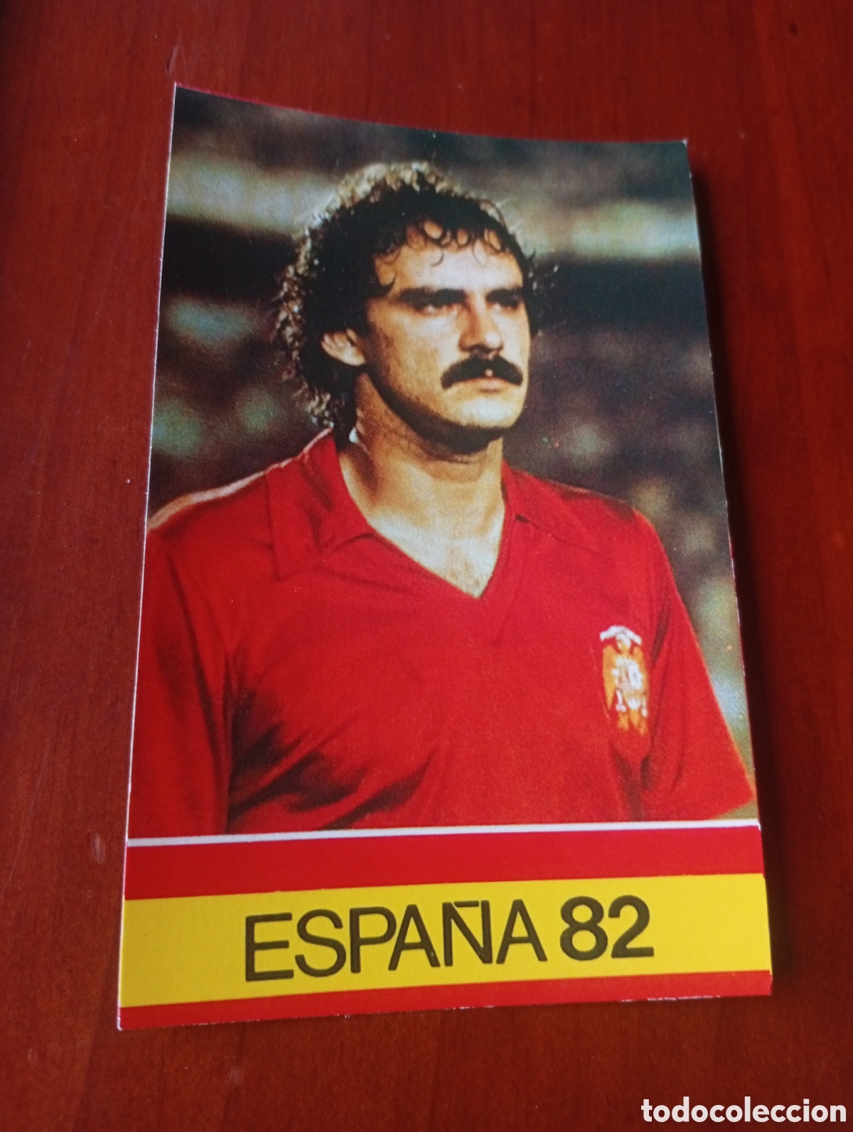 Cromos de f&uacute;tbol: ALBUM PORTA FICHAS DE LA SELECCION NACIONAL ESPA&Ntilde;OLA ESPA&Ntilde;A 82 FICHA CROMO TARJETA SATRUSTEGUI