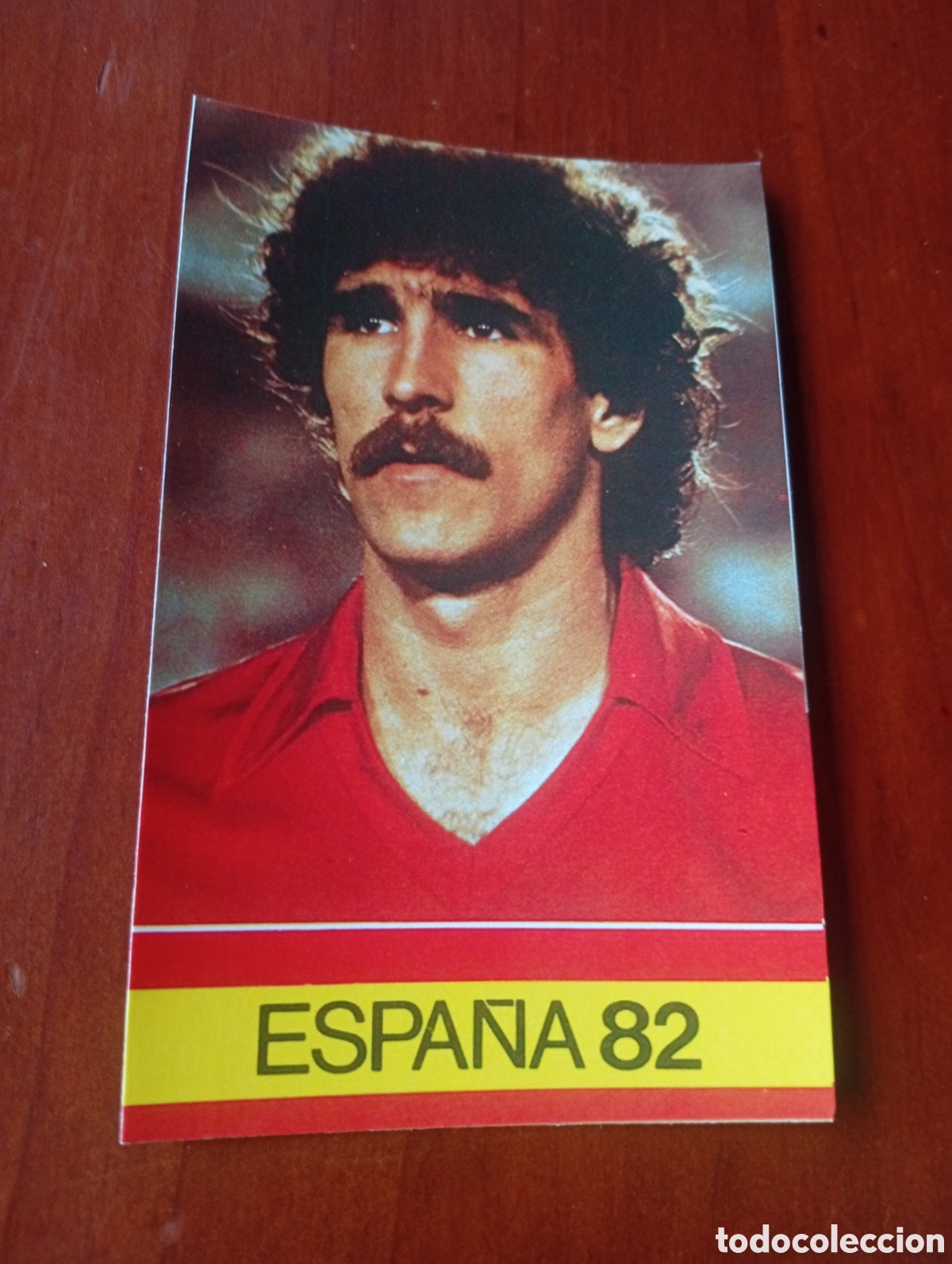 Cromos de f&uacute;tbol: ALBUM PORTA FICHAS DE LA SELECCION NACIONAL ESPA&Ntilde;OLA ESPA&Ntilde;A 82 FICHA CROMO TARJETA ZAMORA