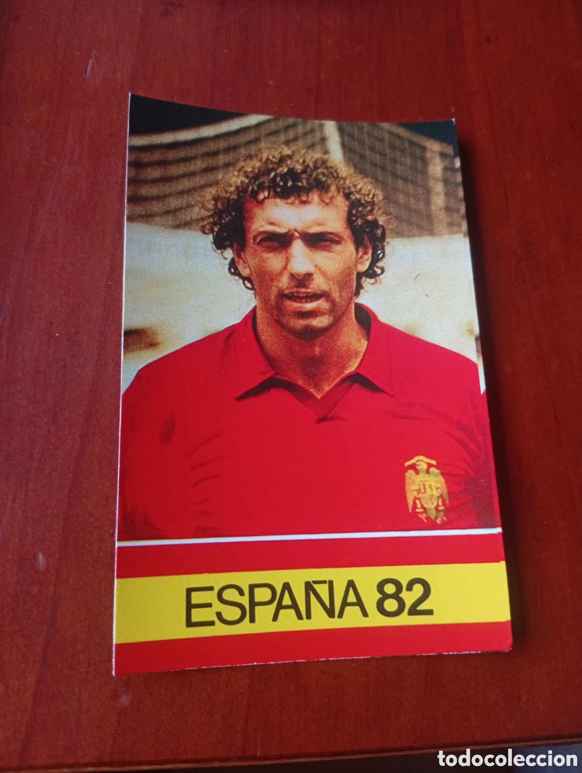 Football Stickers: ALBUM PORTA FICHAS DE LA SELECCION NACIONAL ESPA&Ntilde;OLA ESPA&Ntilde;A 82 FICHA CROMO TARJETA QUINI