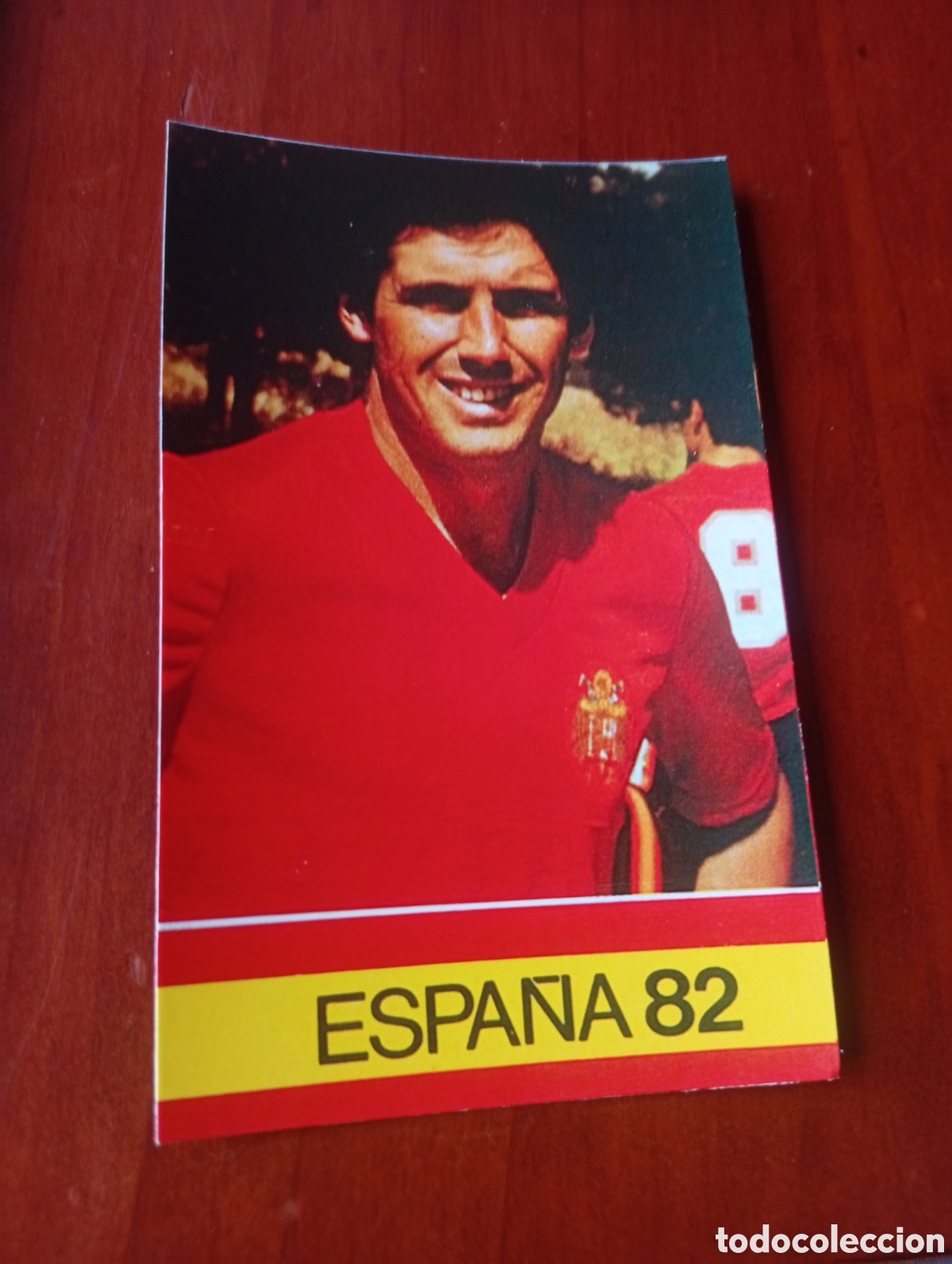 Cromos de Futebol: ALBUM PORTA FICHAS DE LA SELECCION NACIONAL ESPA&Ntilde;OLA ESPA&Ntilde;A 82 FICHA CROMO TARJETA SANTILLANA