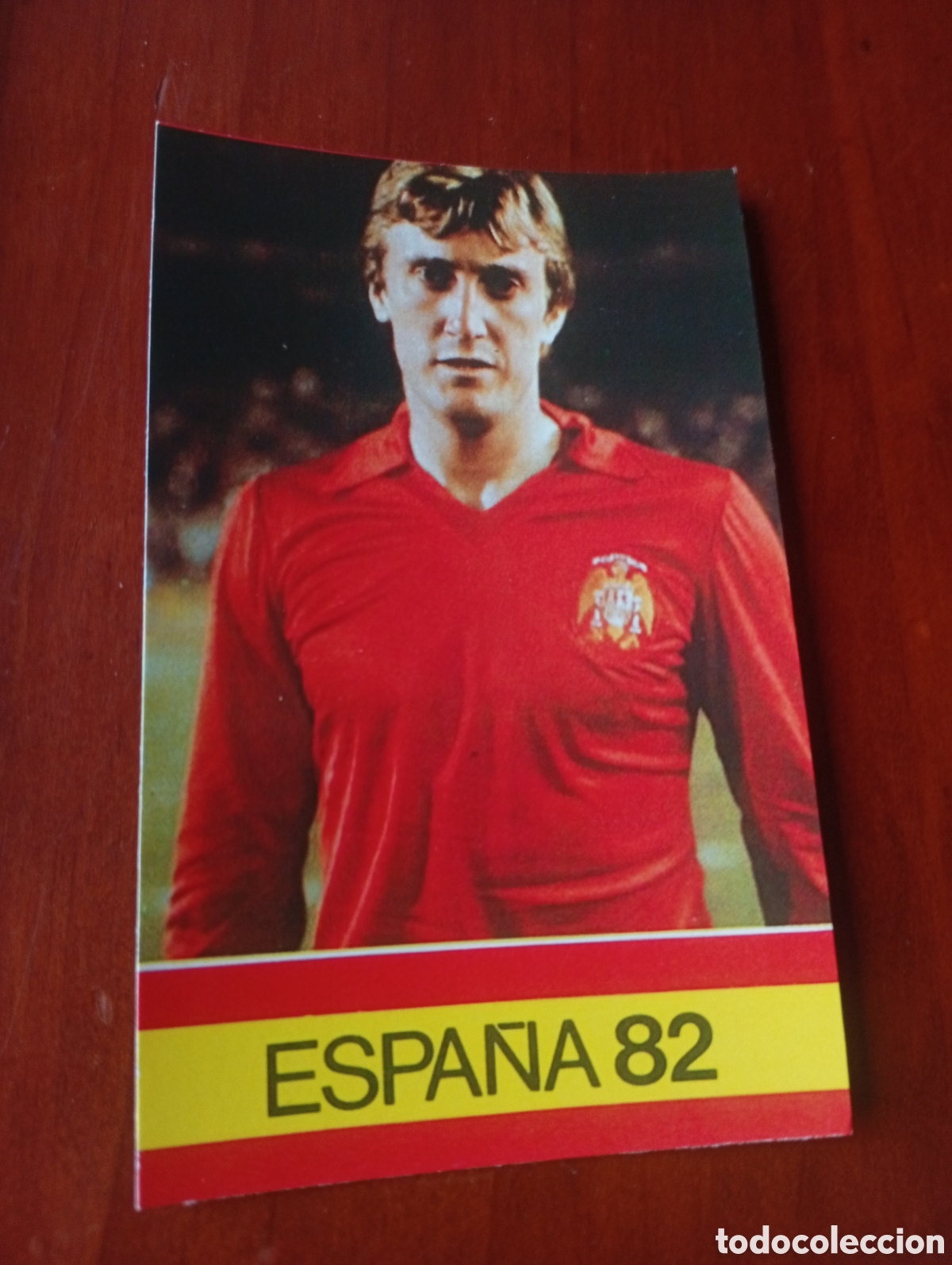 Cromos de Futebol: ALBUM PORTA FICHAS DE LA SELECCION NACIONAL ESPA&Ntilde;OLA ESPA&Ntilde;A 82 FICHA CROMO TARJETA MACEDA