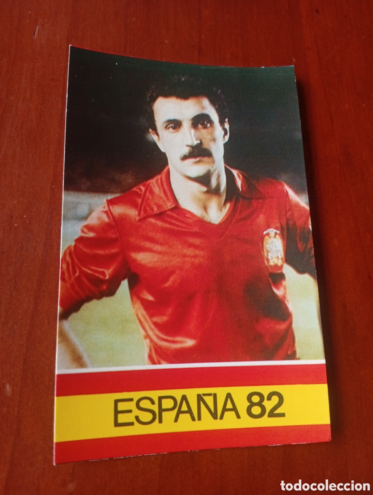 Cromos de f&uacute;tbol: ALBUM PORTA FICHAS DE LA SELECCION NACIONAL ESPA&Ntilde;OLA ESPA&Ntilde;A 82 FICHA CROMO TARJETA JOAQUIN