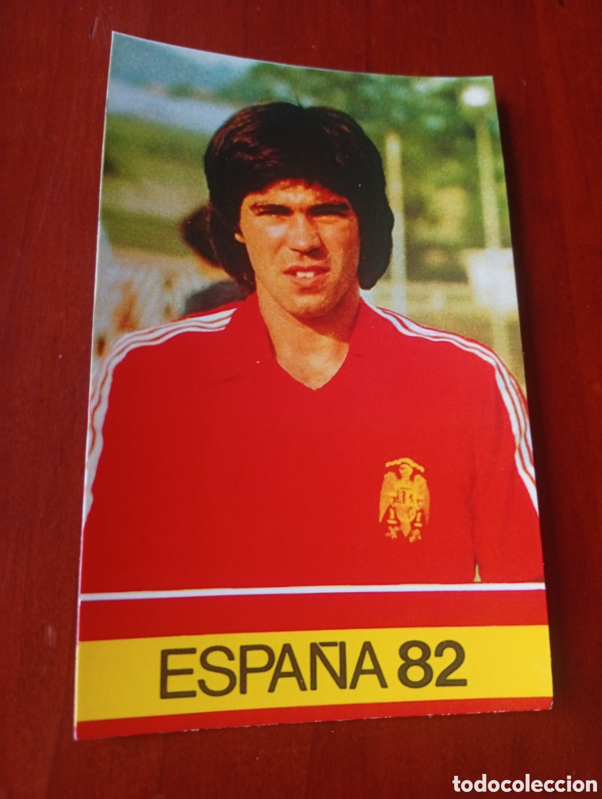 Cromos de f&uacute;tbol: ALBUM PORTA FICHAS DE LA SELECCION NACIONAL ESPA&Ntilde;OLA ESPA&Ntilde;A 82 FICHA CROMO TARJETA URQUIAGA