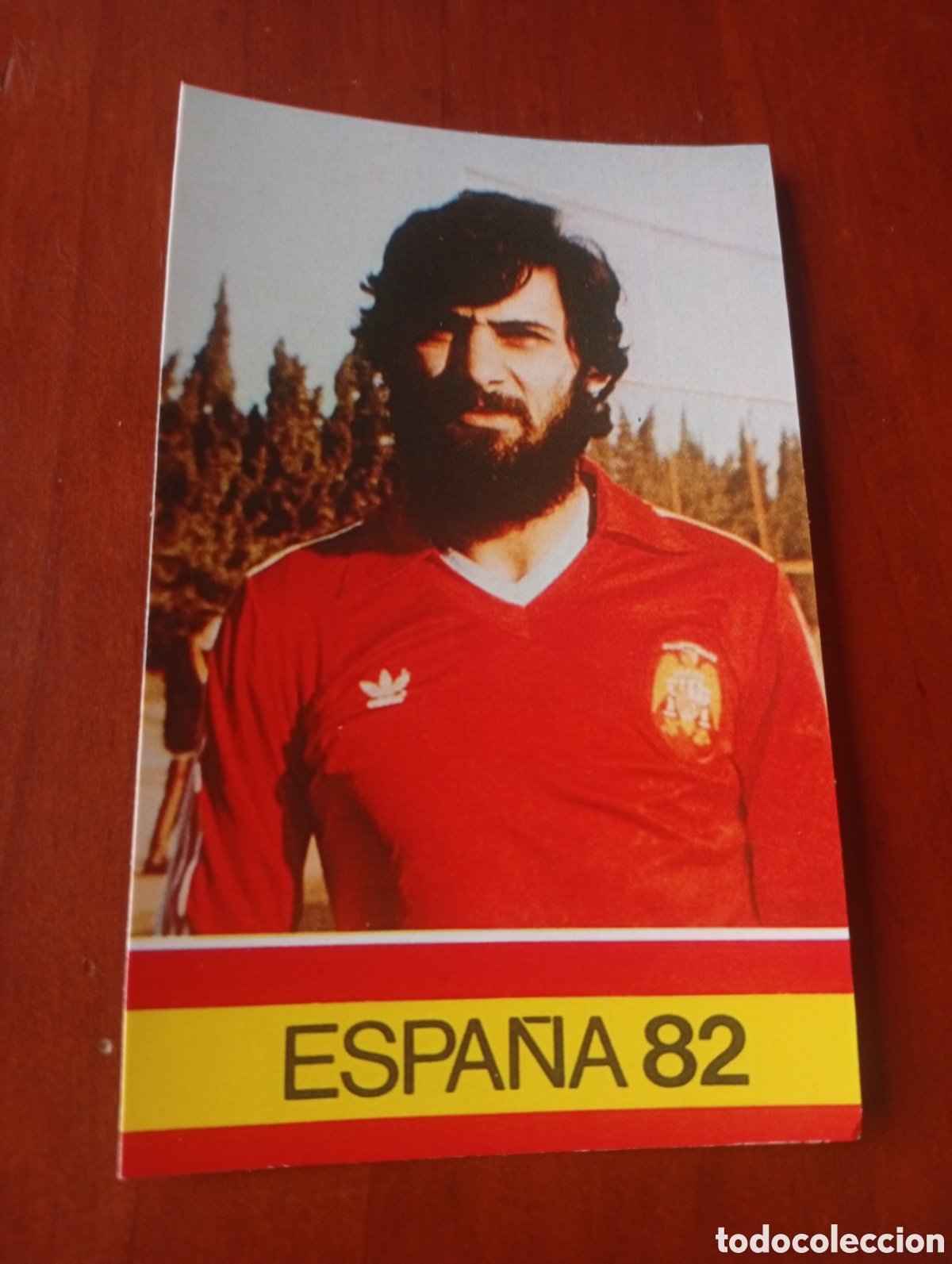 Cromos de f&uacute;tbol: ALBUM PORTA FICHAS DE LA SELECCION NACIONAL ESPA&Ntilde;OLA ESPA&Ntilde;A 82 FICHA CROMO TARJETA JIMENEZ