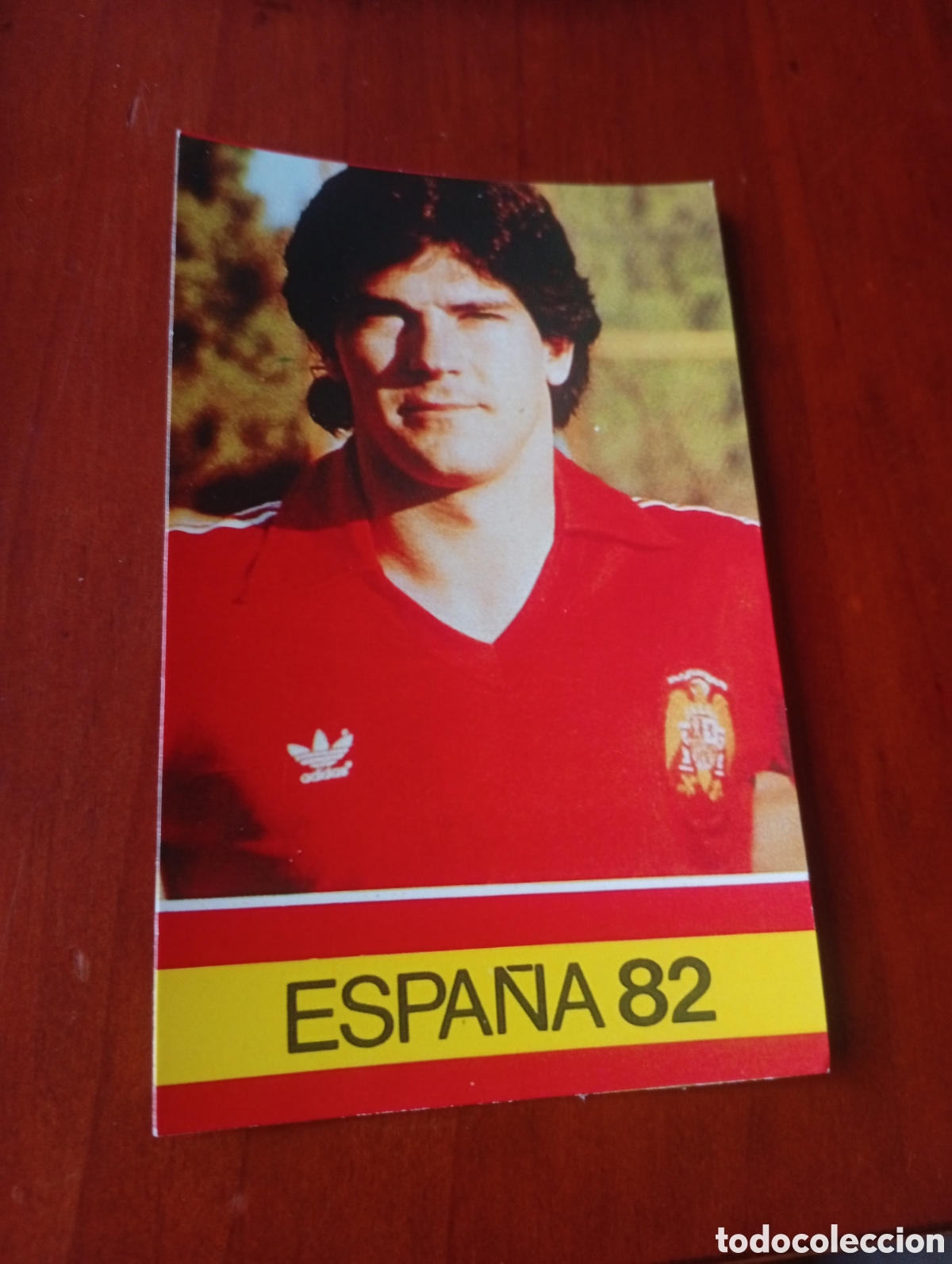 Cromos de Futebol: ALBUM PORTA FICHAS DE LA SELECCION NACIONAL ESPA&Ntilde;OLA ESPA&Ntilde;A 82 FICHA CROMO TARJETA ESTELLA