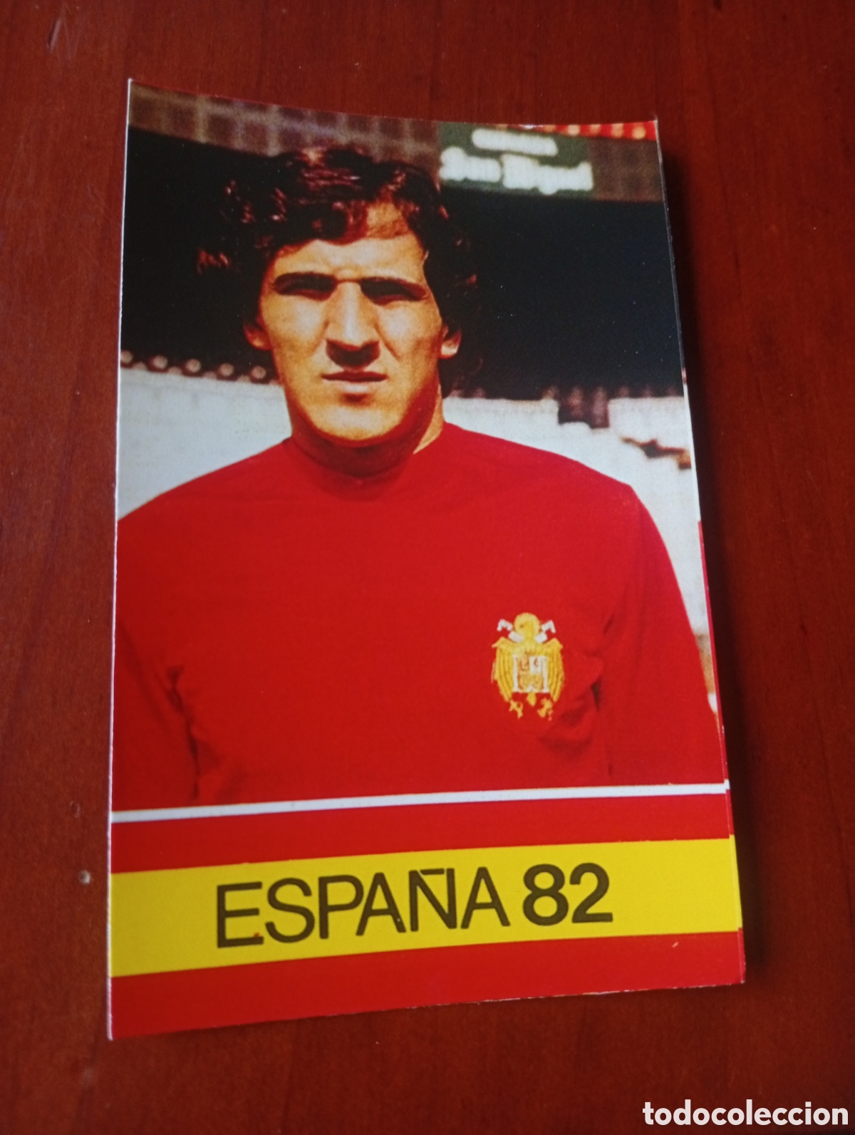 Cromos de Futebol: ALBUM PORTA FICHAS DE LA SELECCION NACIONAL ESPA&Ntilde;OLA ESPA&Ntilde;A 82 FICHA CROMO TARJETA SANCHEZ