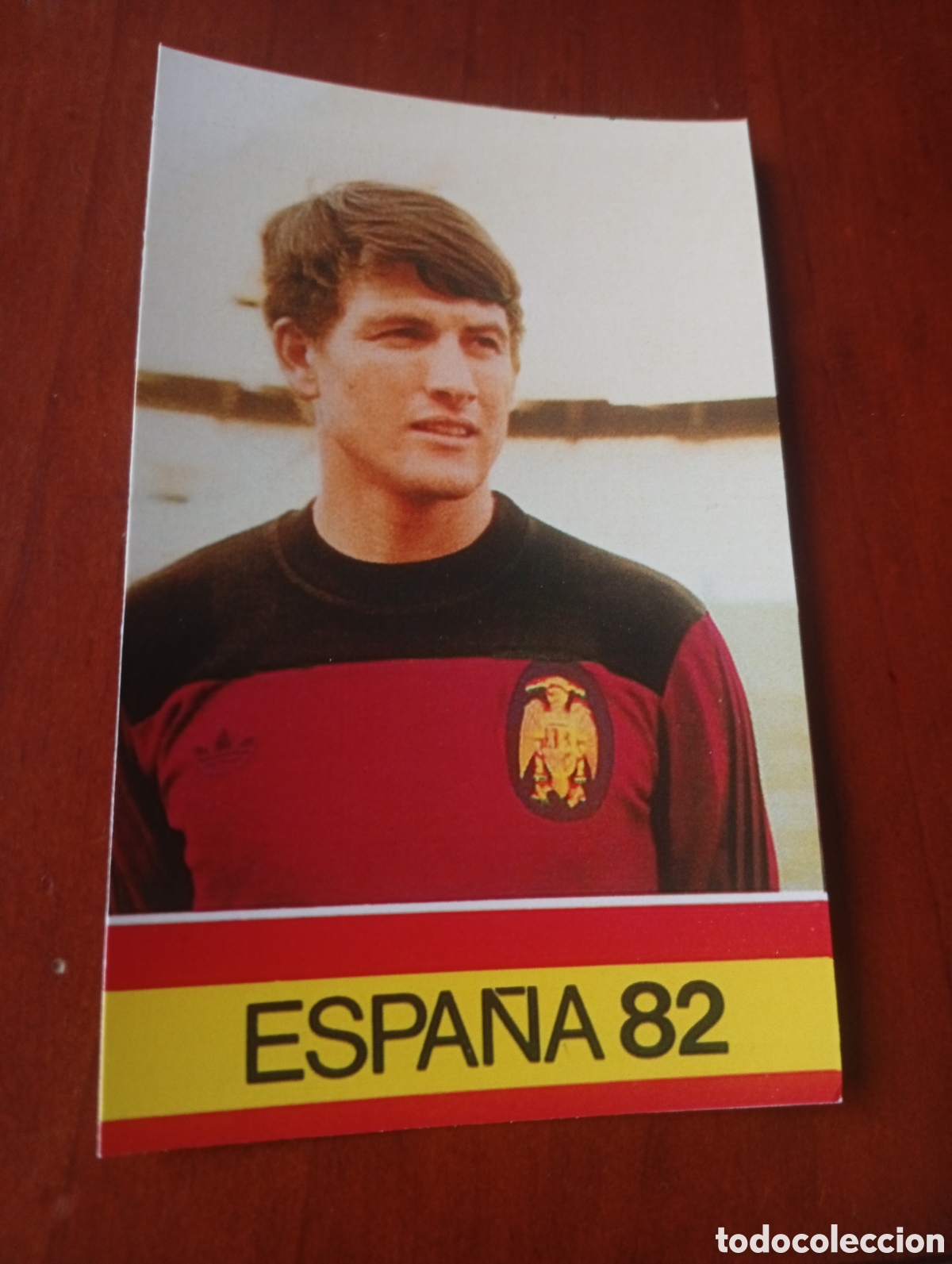 Fu&szlig;ball-Sticker: ALBUM PORTA FICHAS DE LA SELECCION NACIONAL ESPA&Ntilde;OLA ESPA&Ntilde;A 82 FICHA CROMO TARJETA SEMPERE