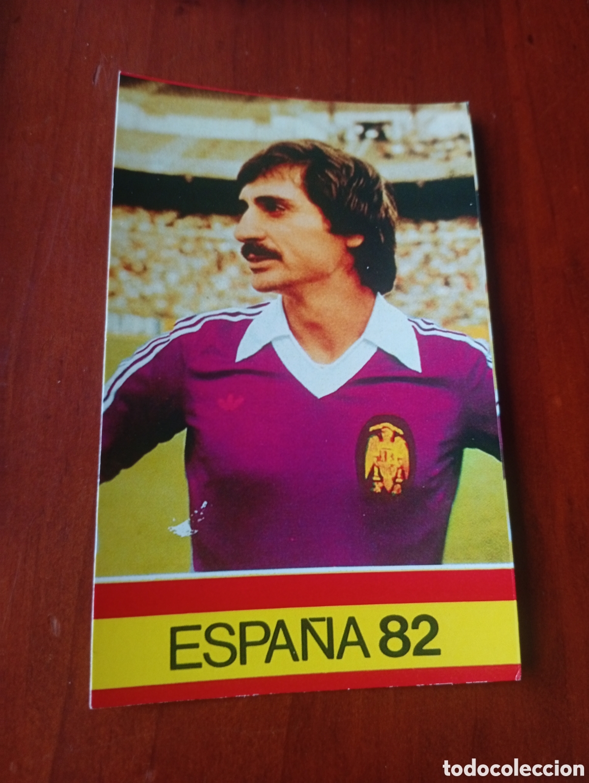 Cromos de f&uacute;tbol: ALBUM PORTA FICHAS DE LA SELECCION NACIONAL ESPA&Ntilde;OLA ESPA&Ntilde;A 82 FICHA CROMO TARJETA MIGUEL ANGEL