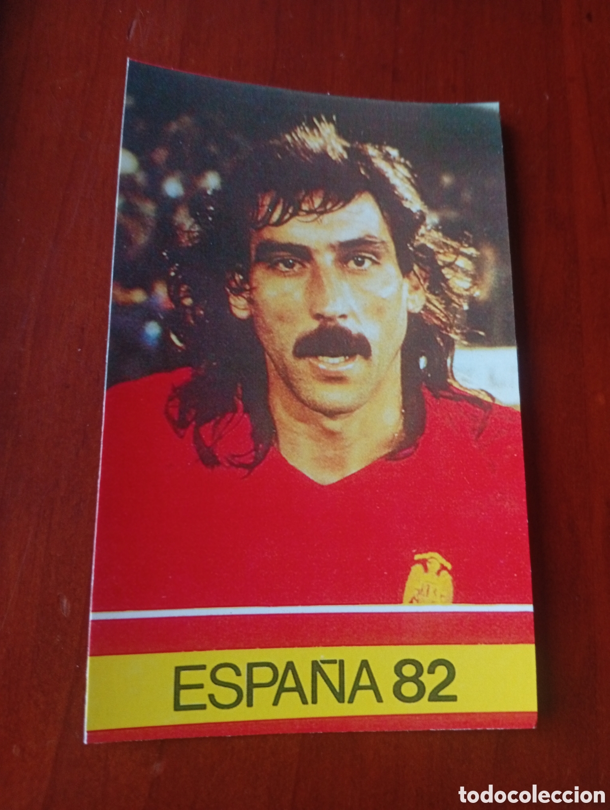 Cromos de f&uacute;tbol: ALBUM PORTA FICHAS DE LA SELECCION NACIONAL ESPA&Ntilde;OLA ESPA&Ntilde;A 82 FICHA CROMO TARJETA MESA