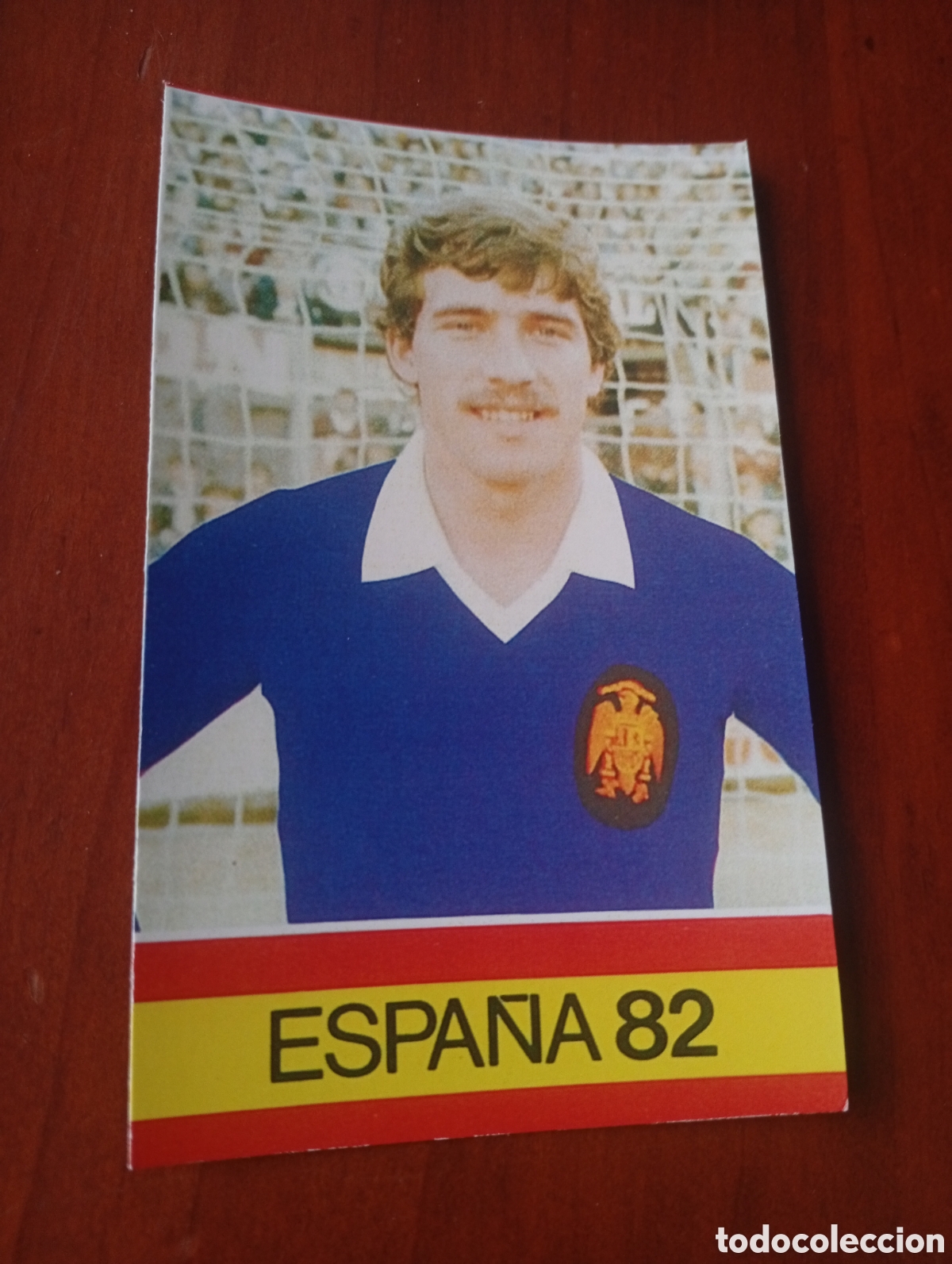 Cromos de f&uacute;tbol: ALBUM PORTA FICHAS DE LA SELECCION NACIONAL ESPA&Ntilde;OLA ESPA&Ntilde;A 82 FICHA CROMO TARJETA BUYO