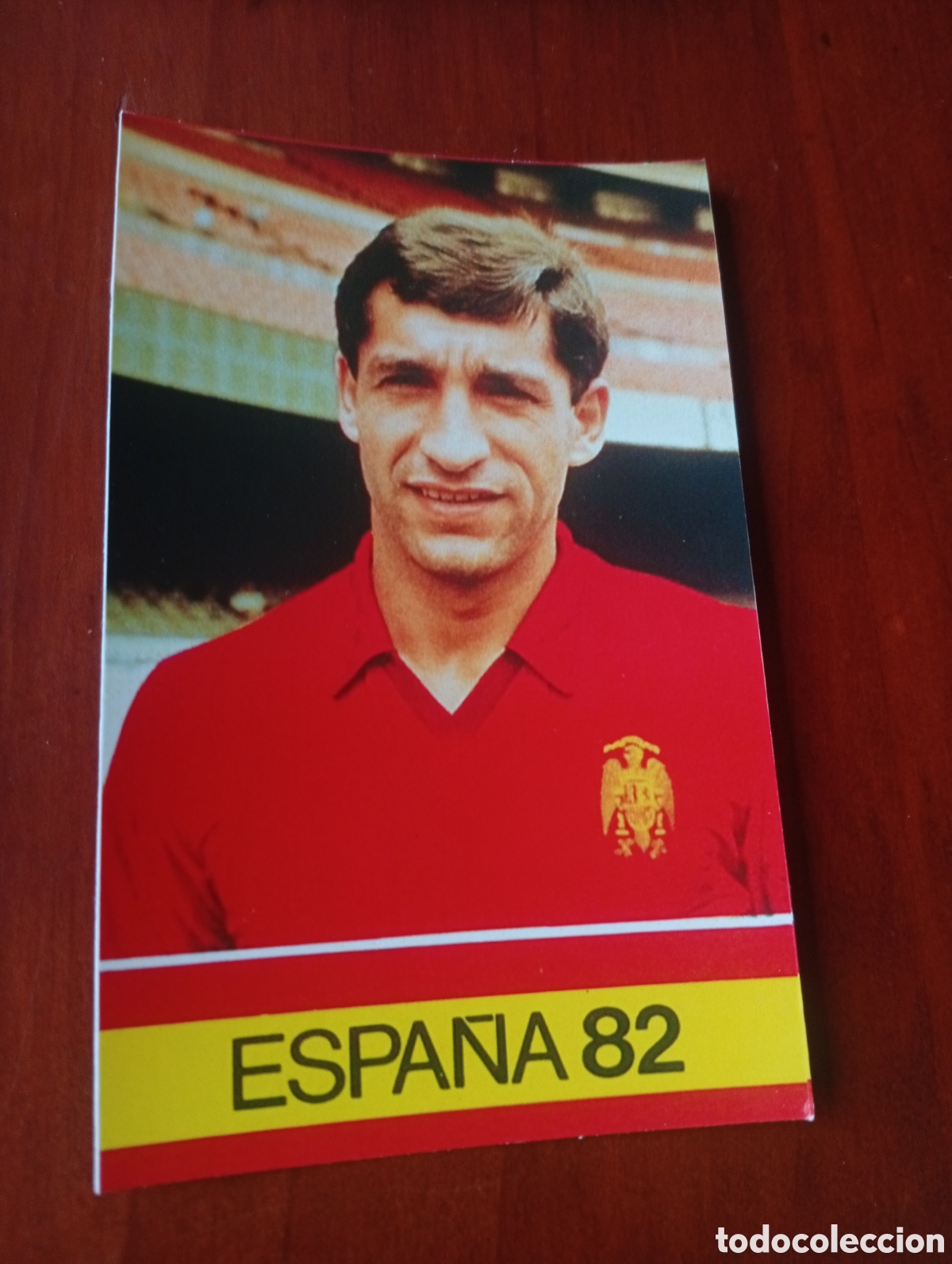 Cromos de f&uacute;tbol: ALBUM PORTA FICHAS DE LA SELECCION NACIONAL ESPA&Ntilde;OLA ESPA&Ntilde;A 82 FICHA CROMO TARJETA OLMO