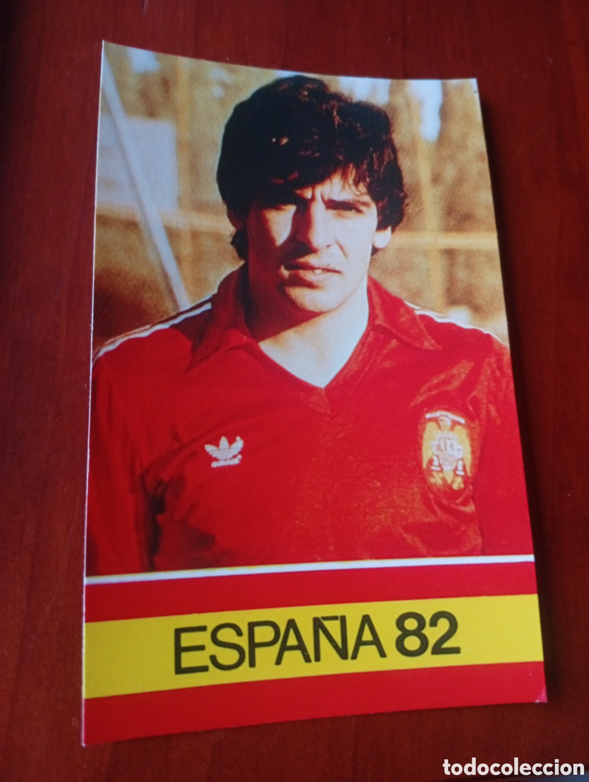 Cromos de f&uacute;tbol: ALBUM PORTA FICHAS DE LA SELECCION NACIONAL ESPA&Ntilde;OLA ESPA&Ntilde;A 82 FICHA CROMO TARJETA CELAYETA