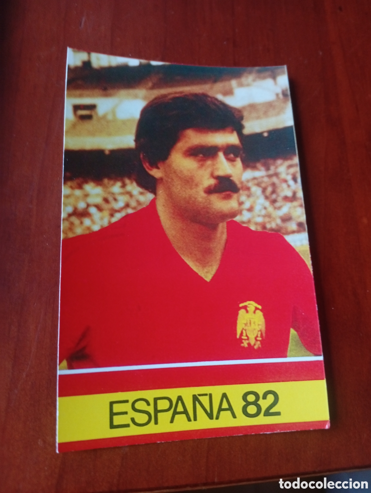 Cromos de f&uacute;tbol: ALBUM PORTA FICHAS DE LA SELECCION NACIONAL ESPA&Ntilde;OLA ESPA&Ntilde;A 82 FICHA CROMO TARJETA GARCIA NAVAJAS