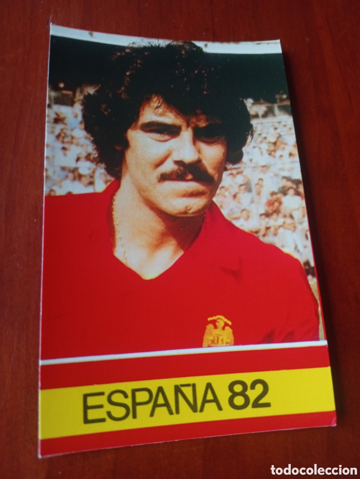 Cromos de f&uacute;tbol: ALBUM PORTA FICHAS DE LA SELECCION NACIONAL ESPA&Ntilde;OLA ESPA&Ntilde;A 82 FICHA CROMO TARJETA LEAL