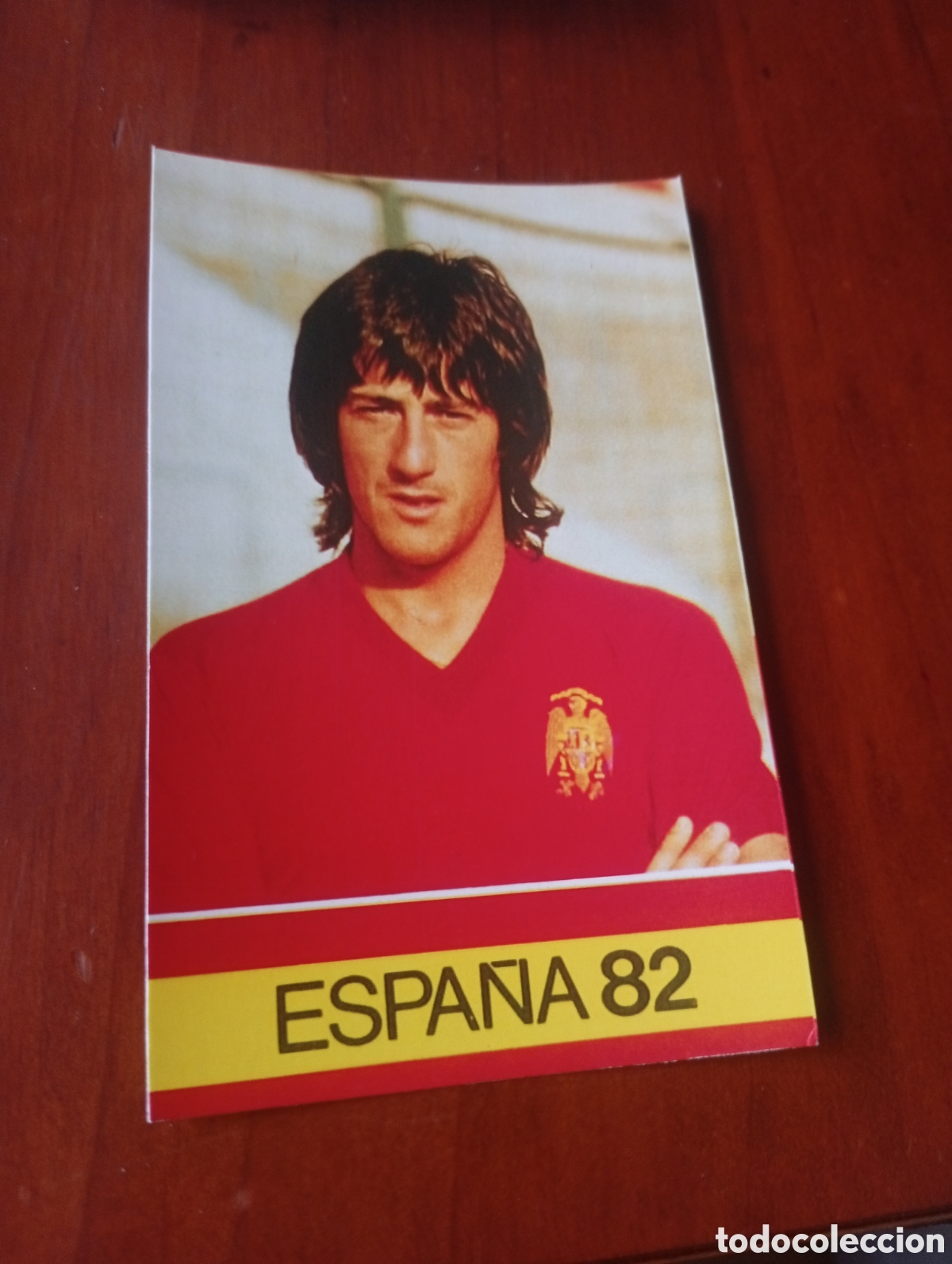 Figurine di Calcio: ALBUM PORTA FICHAS DE LA SELECCION NACIONAL ESPA&Ntilde;OLA ESPA&Ntilde;A 82 FICHA CROMO TARJETA MARTIN