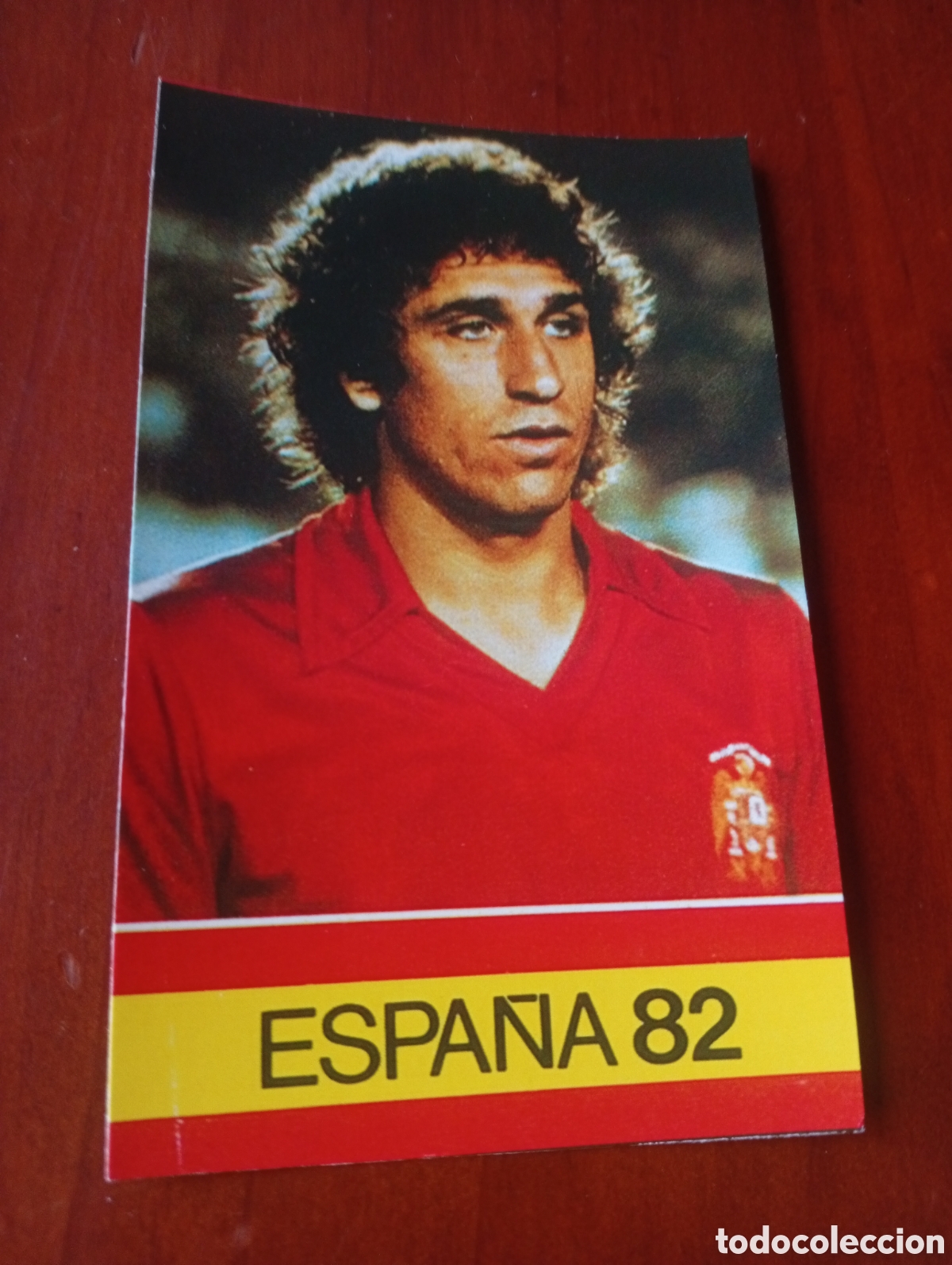 Cromos de f&uacute;tbol: ALBUM PORTA FICHAS DE LA SELECCION NACIONAL ESPA&Ntilde;OLA ESPA&Ntilde;A 82 FICHA CROMO TARJETA ESTEBAN VIGO