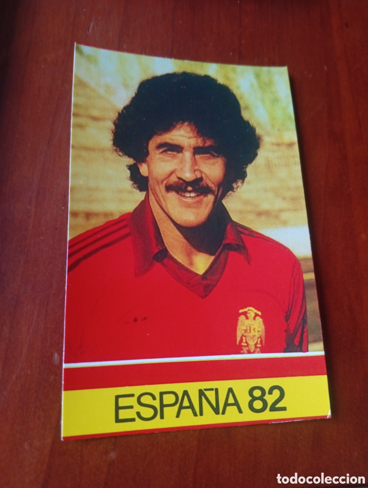 Cromos de f&uacute;tbol: ALBUM PORTA FICHAS DE LA SELECCION NACIONAL ESPA&Ntilde;OLA ESPA&Ntilde;A 82 FICHA CROMO TARJETA BENITO