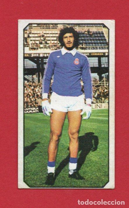 Cromos de f&uacute;tbol: ESTE 77 78 GATO FERNANDEZ DEL ESPA&Ntilde;OL RCD CF NUEVO SIN PEGAR ESTE 1977 1978