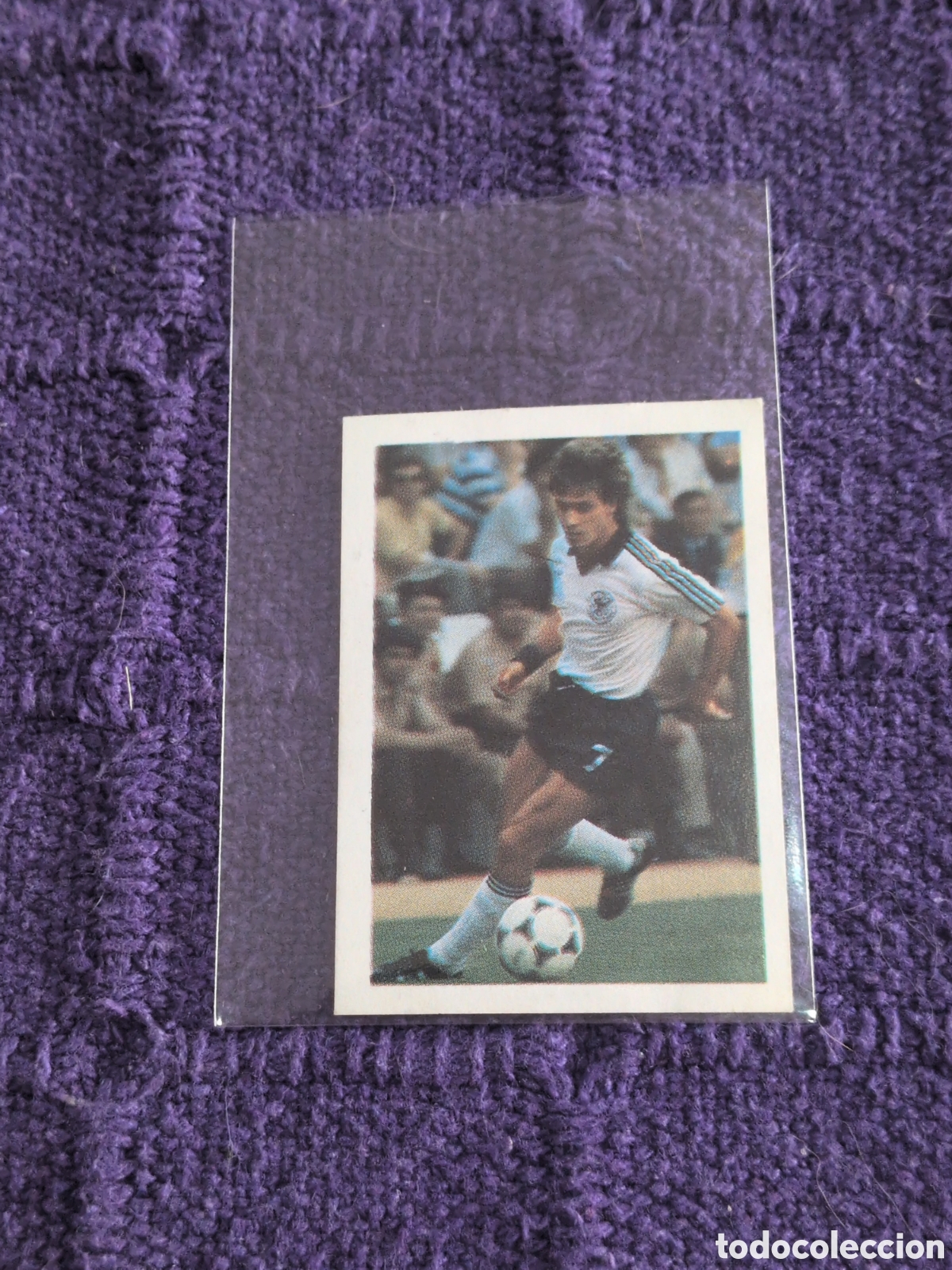 Fu&szlig;ball-Sticker: Alemania - 13 Littbarski - Eurocopa 1984 - Fans Colecci&oacute;n - Nunca pegado