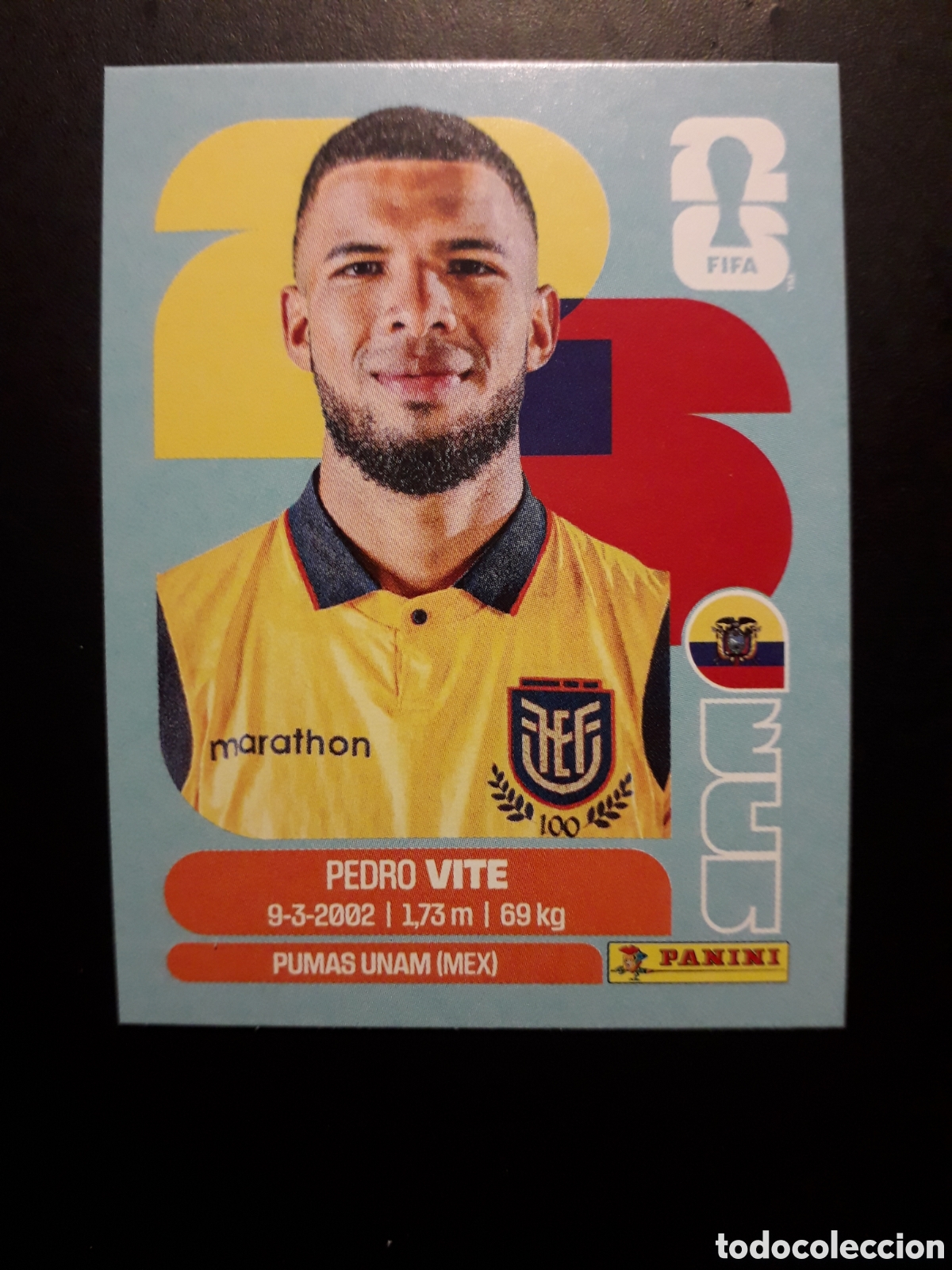 Cromos de f&uacute;tbol: VITE ECUADOR ECU 12 MUNDIAL F&Uacute;TBOL 2026 FIFA WORLD CUP PANINI SIN PEGAR PEDIDO M&Iacute;NIMO 3&euro;