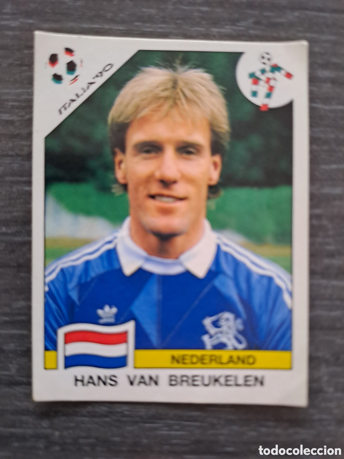Cromos de f&uacute;tbol: VAN BREUKELEN &ndash; HOLANDA &ndash; ITALIA 90 Cromo de Hans van Breukelen, internacional con Holanda, pertene