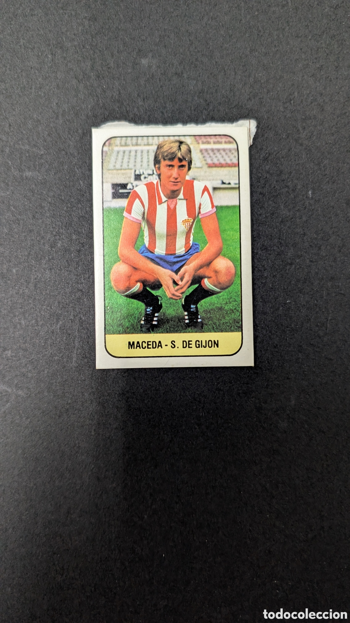 Cromos de Futebol: MACEDA SPORTING GIJON LIGA ESTE 1978 1979 78 79 DESPEGADO