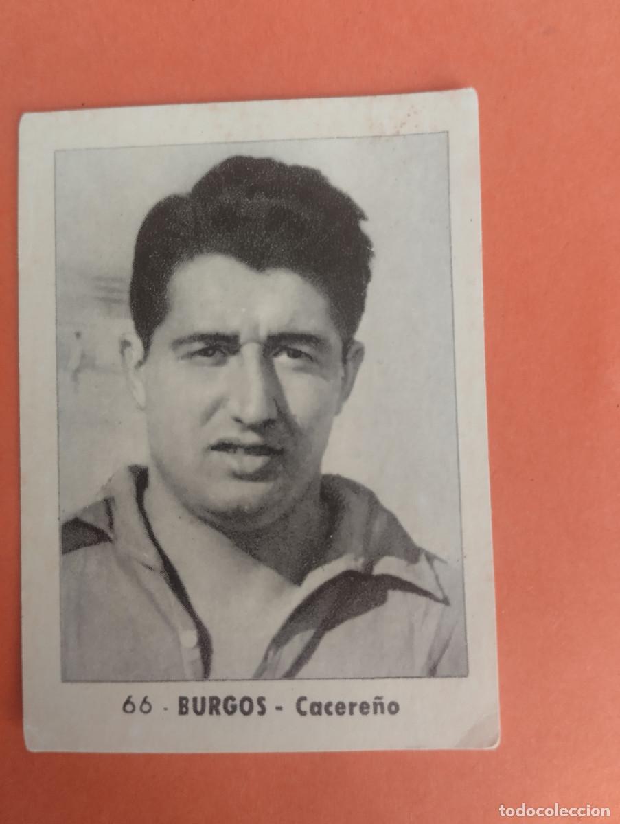 Cromos de f&uacute;tbol: CROMO FUTBOL. N&ordm;66. BURGOS. CACERE&Ntilde;O. EDITORIAL RUIZ ROMERO. 1952-1953. 52-53. sin pegar..