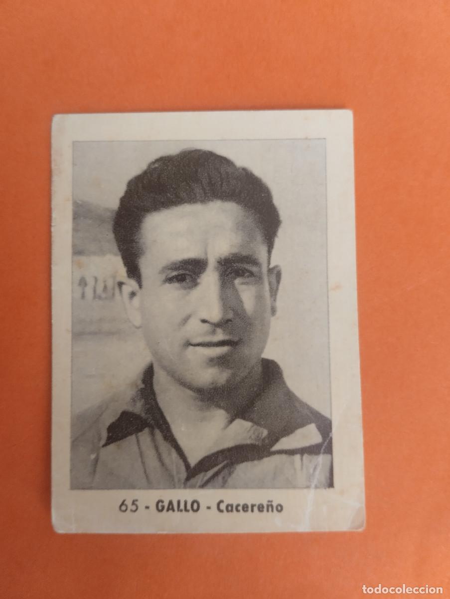 Cromos de f&uacute;tbol: CROMO FUTBOL. N&ordm;65. GALLO. CACERE&Ntilde;O. EDITORIAL RUIZ ROMERO. 1952-1953. 52-53. sin pegar..