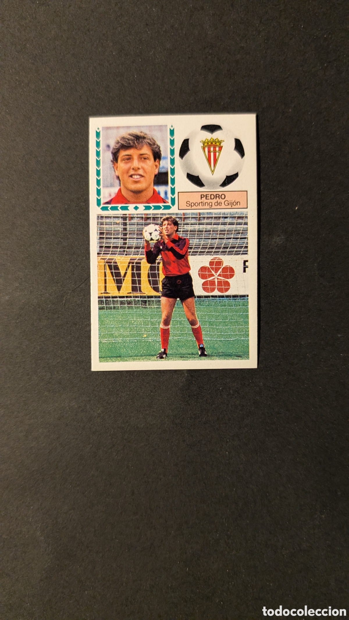 Football Stickers: L1 PEDRO SPORTING GIJON FICHAJE 36 LIGA ESTE 1983/84 83 84 NUNCA PEGADO SIN PEGAR