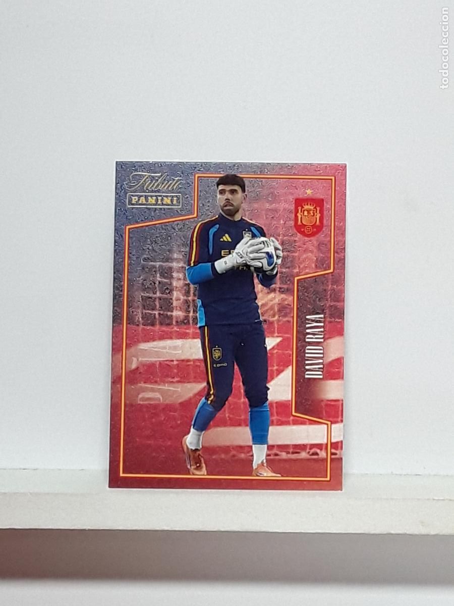Cromos de f&uacute;tbol: TRIBUTO ESPA&Ntilde;A 2010 2026 VAMOS CAMPEONES 10 26 ALBUM PANINI SELECCION ESPA&Ntilde;OLA N 38 DAVID RAYA