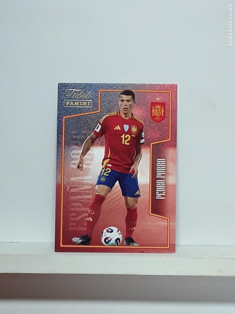 Cromos de f&uacute;tbol: TRIBUTO ESPA&Ntilde;A 2010 2026 VAMOS CAMPEONES 10 26 ALBUM PANINI SELECCION ESPA&Ntilde;OLA N 41 PEDRO PORRO
