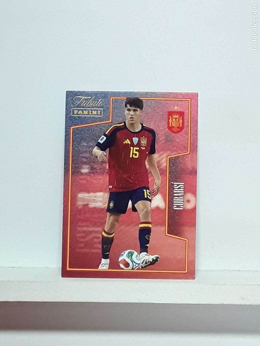 Cromos de f&uacute;tbol: TRIBUTO ESPA&Ntilde;A 2010 2026 VAMOS CAMPEONES 10 26 ALBUM PANINI SELECCION ESPA&Ntilde;OLA N 45 CUBARSI