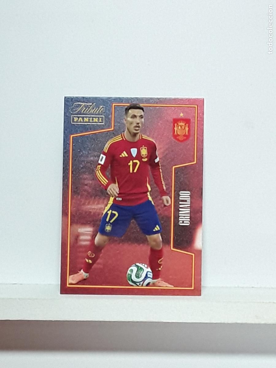 Cromos de f&uacute;tbol: TRIBUTO ESPA&Ntilde;A 2010 2026 VAMOS CAMPEONES 10 26 ALBUM PANINI SELECCION ESPA&Ntilde;OLA N 49 GRIMALDO